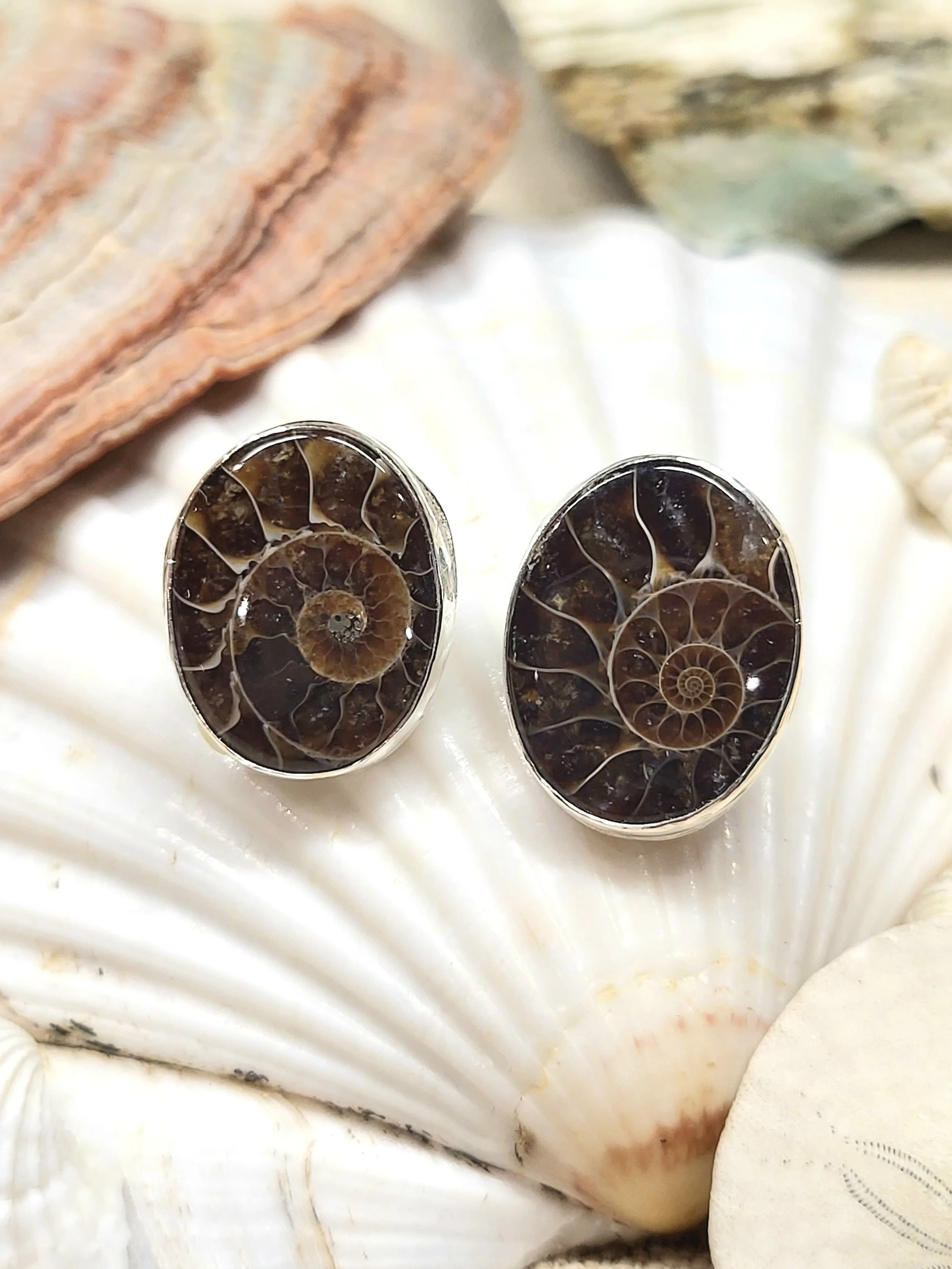 Ammonite earrings 2.jpg