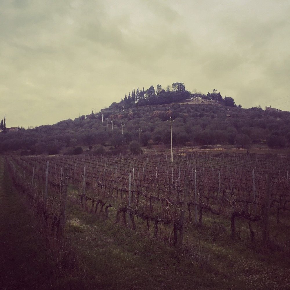 Case Sparse 2018, della Staffa (Umbria, Italy) Natural Born Wine