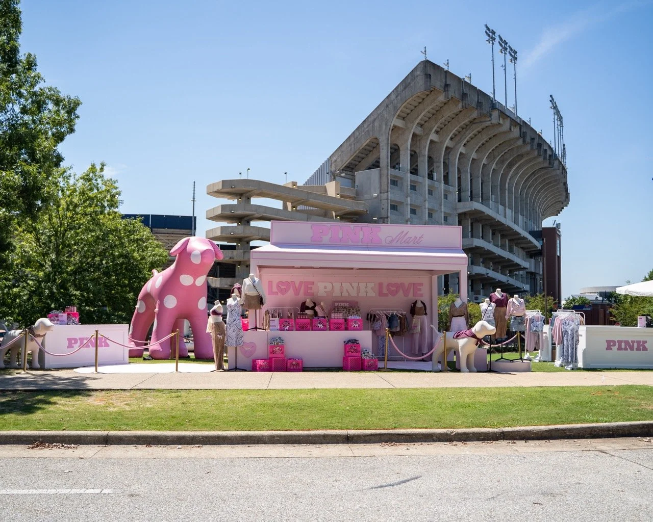 VS PINK Campus Programming