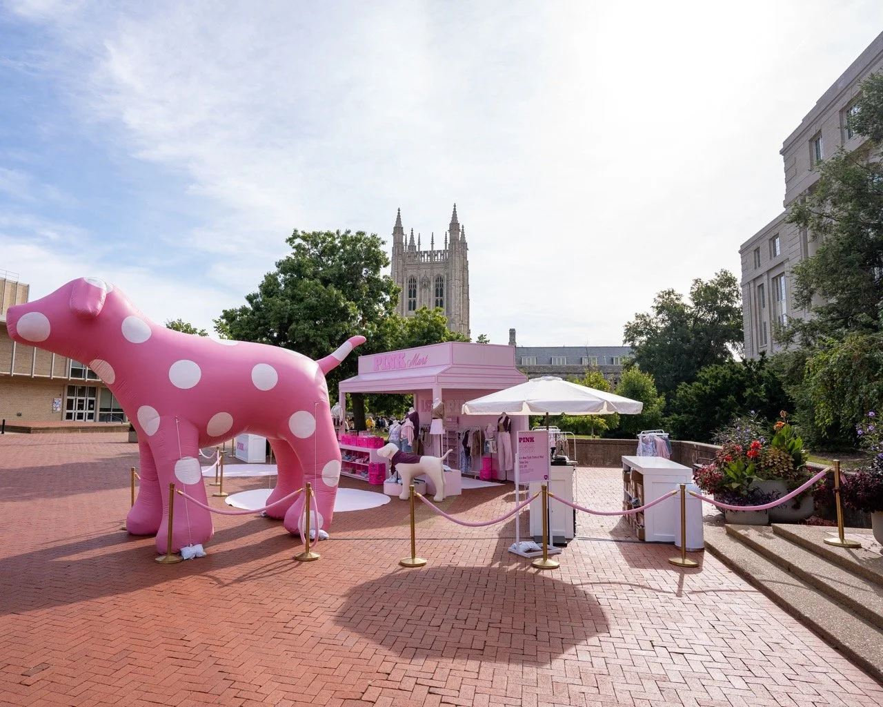 PINKTourMizzouFull-8 Large.jpeg