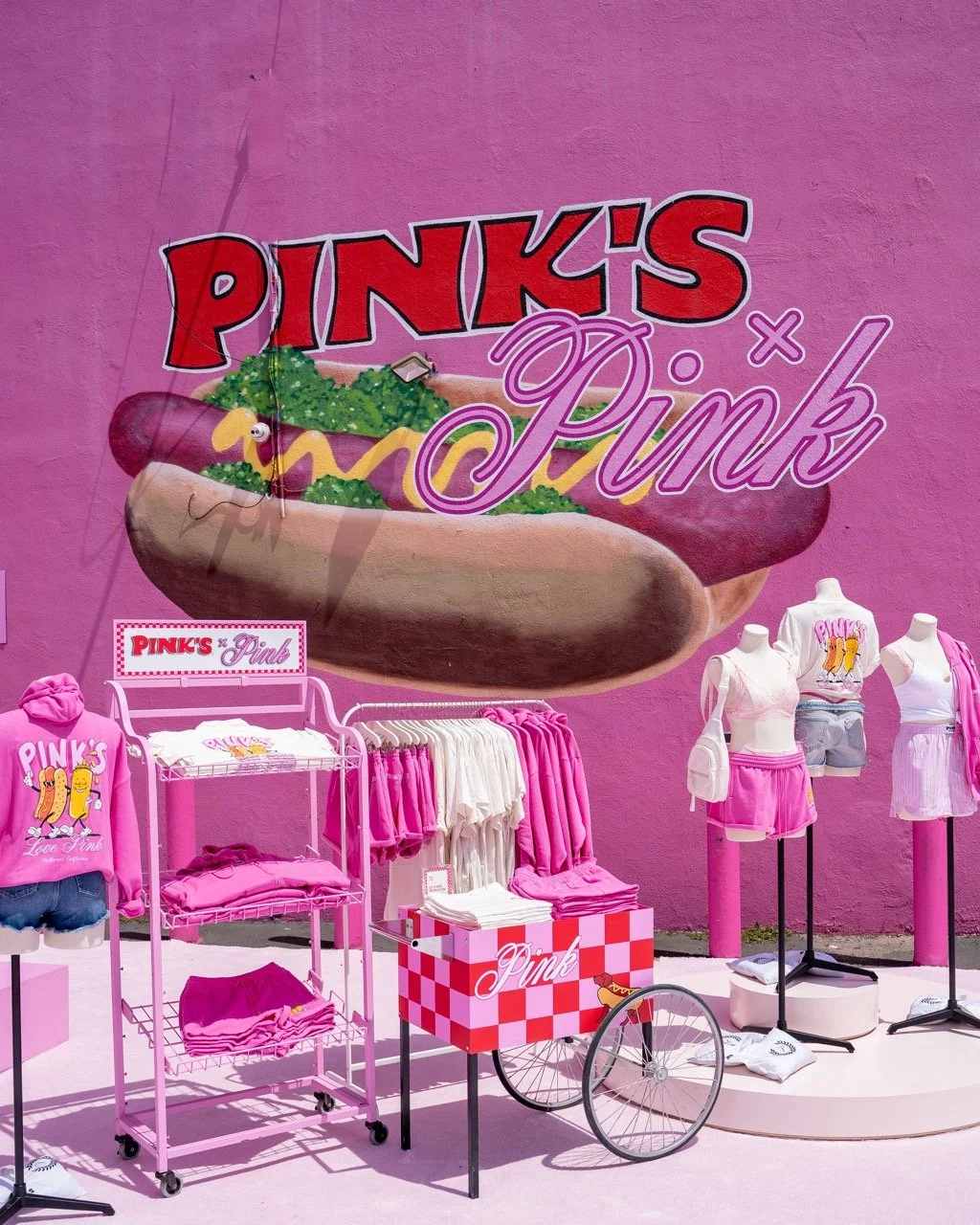 VS PINK National Pink Day