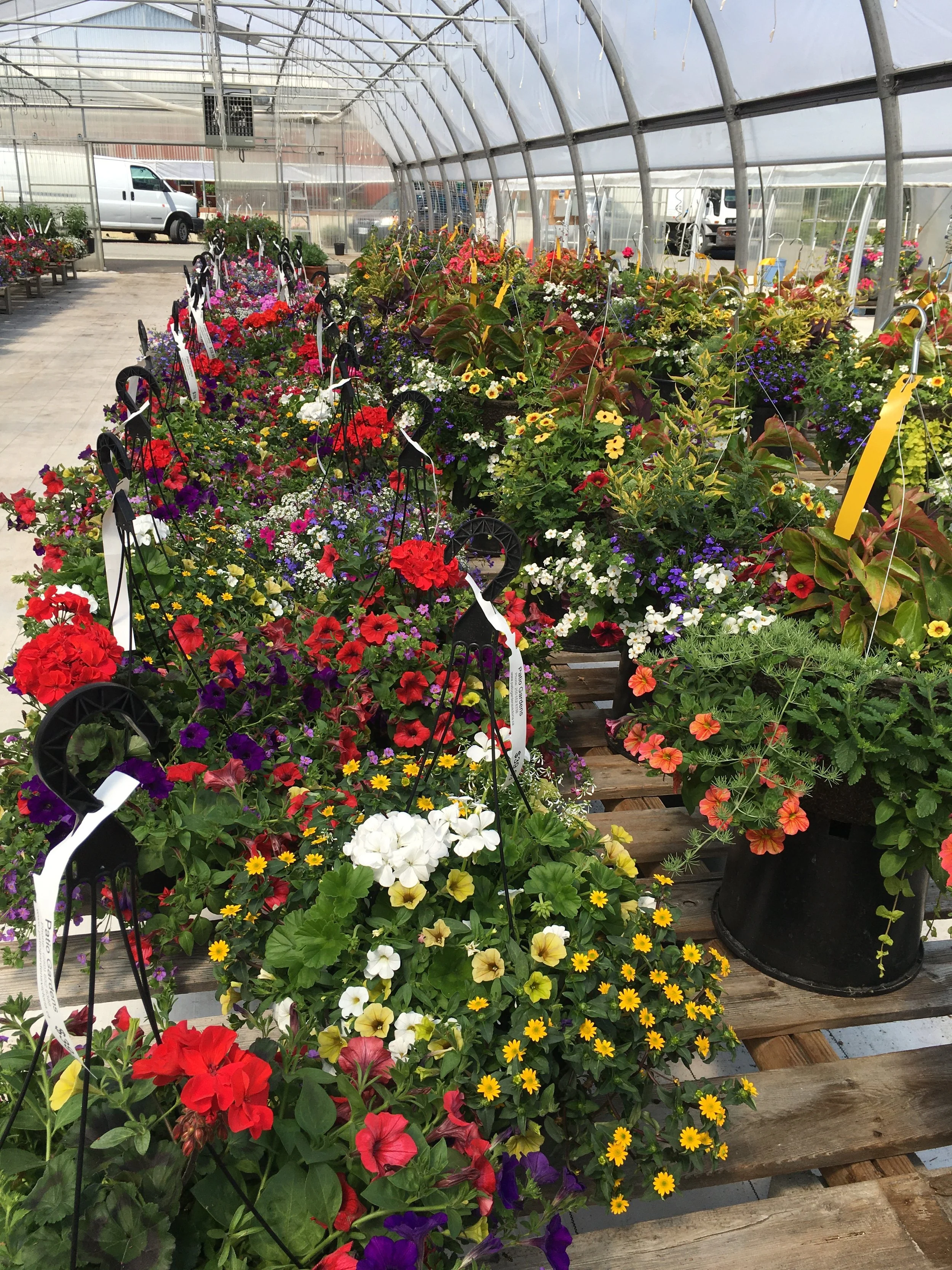 Nursery Garden Center Mississauga Fasci Garden