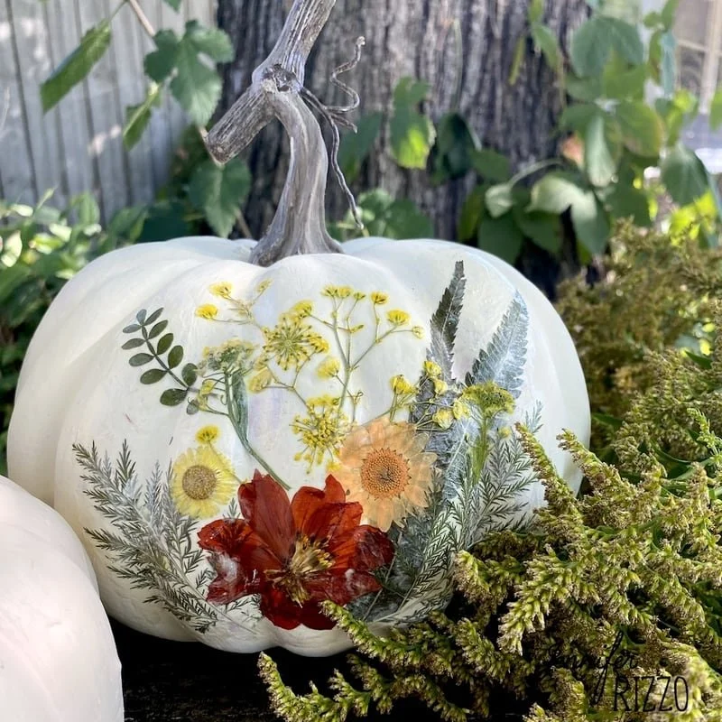 Botanic-Floral-pumpkin-PatioGardens-FallClass.jpg