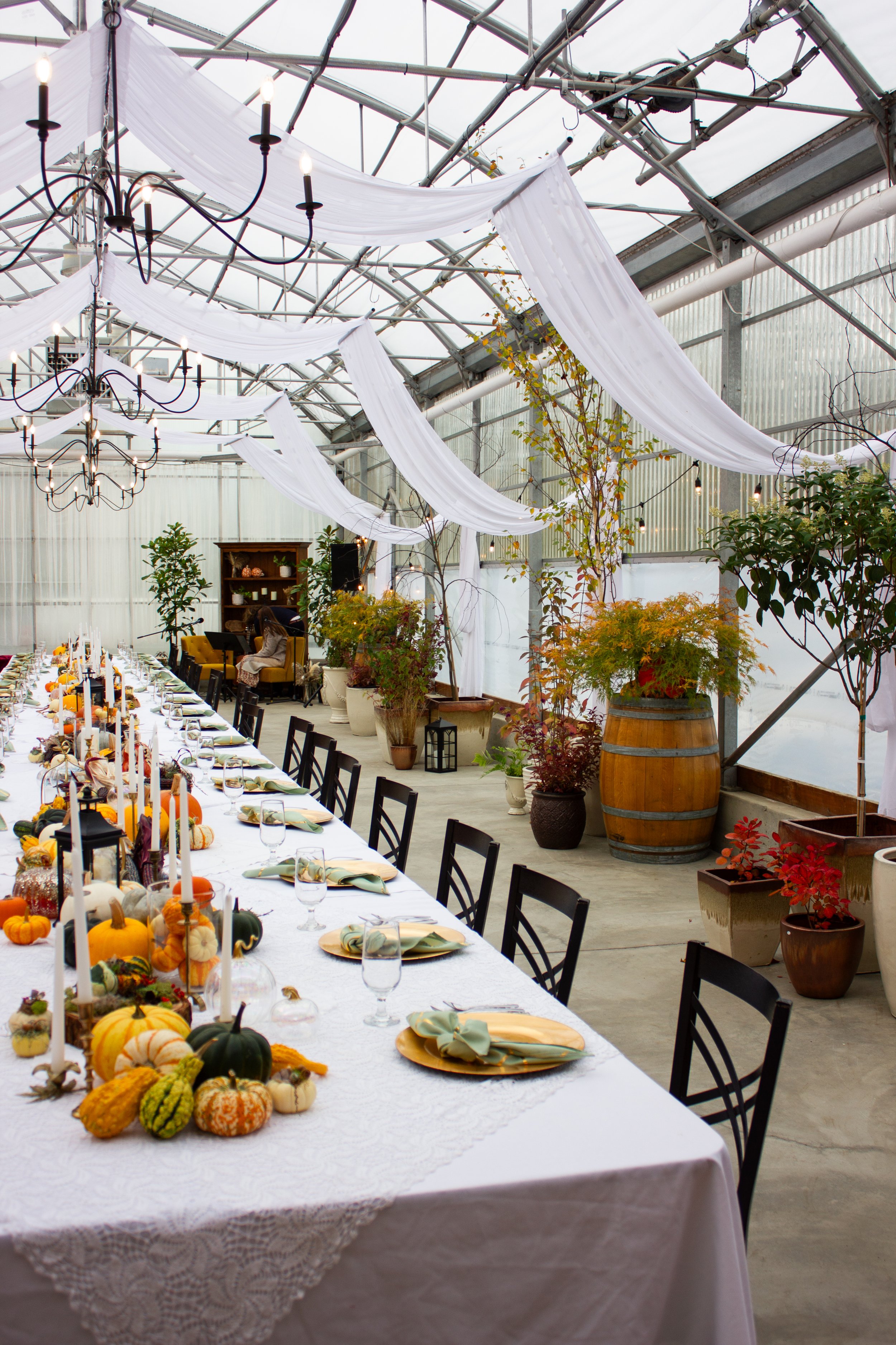 Harvest Dinner-86.jpg