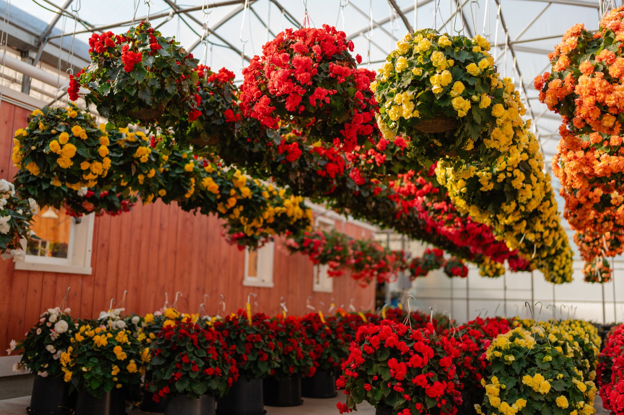 PatioGardensSpring2025-JONMARKPHOTO-1080.jpg