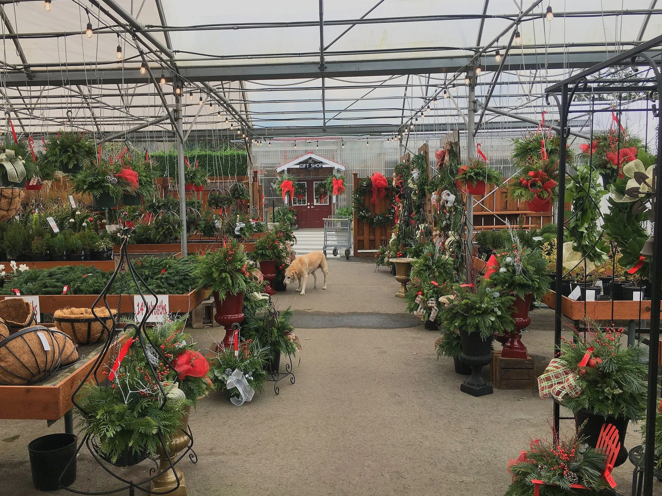 Christmas Market 2022 — Patio Gardens