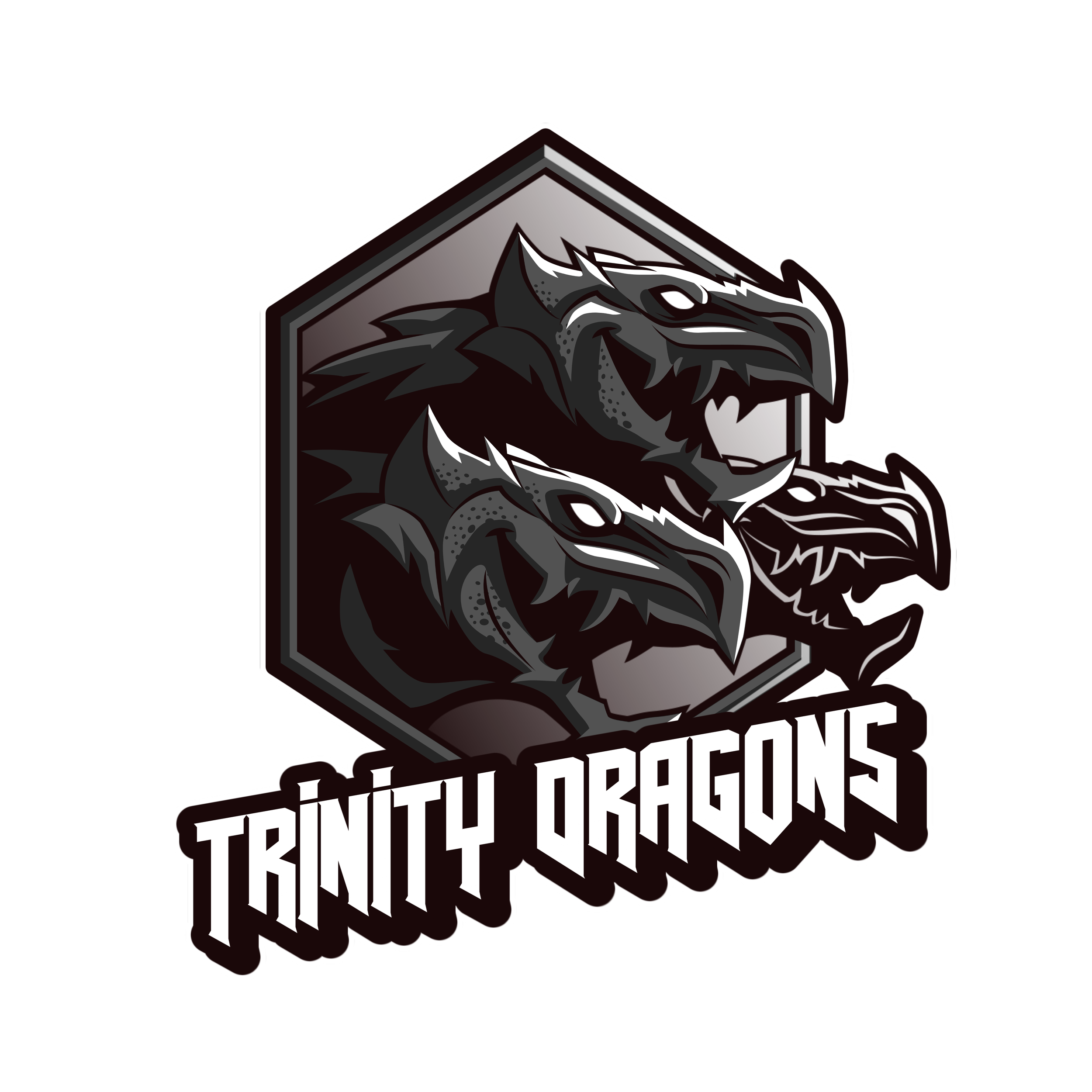 TRINITY DRAGONS BNW.png