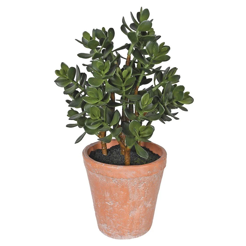 Artificial Money Plant in Terracotta Pot