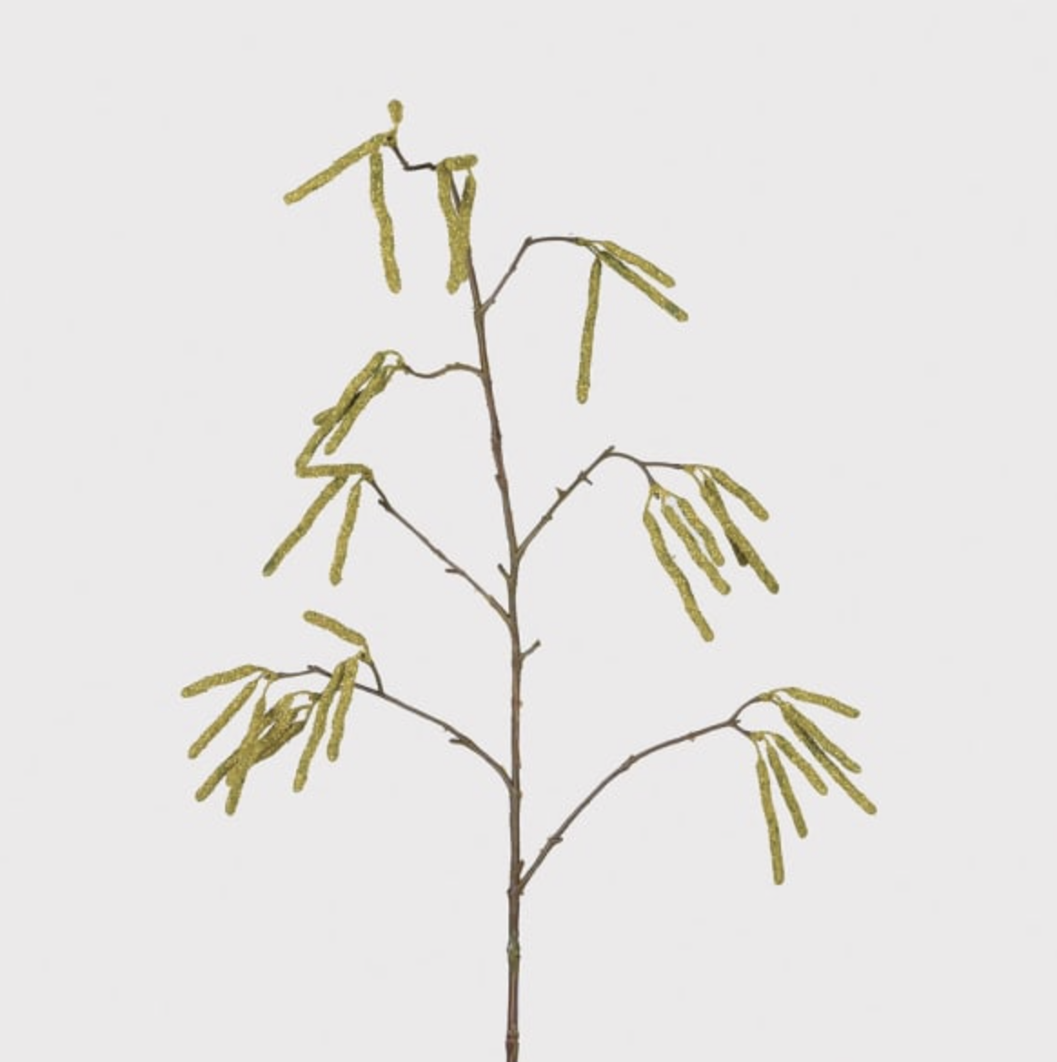 Catkin Stem