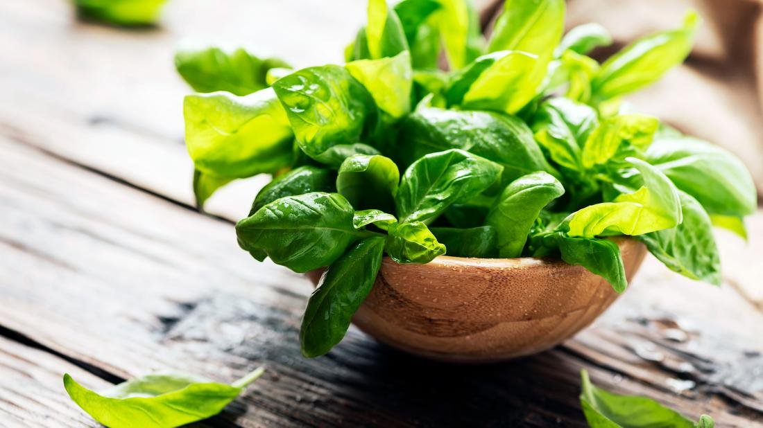 basil-in-a-bowel-on-a-table.jpeg