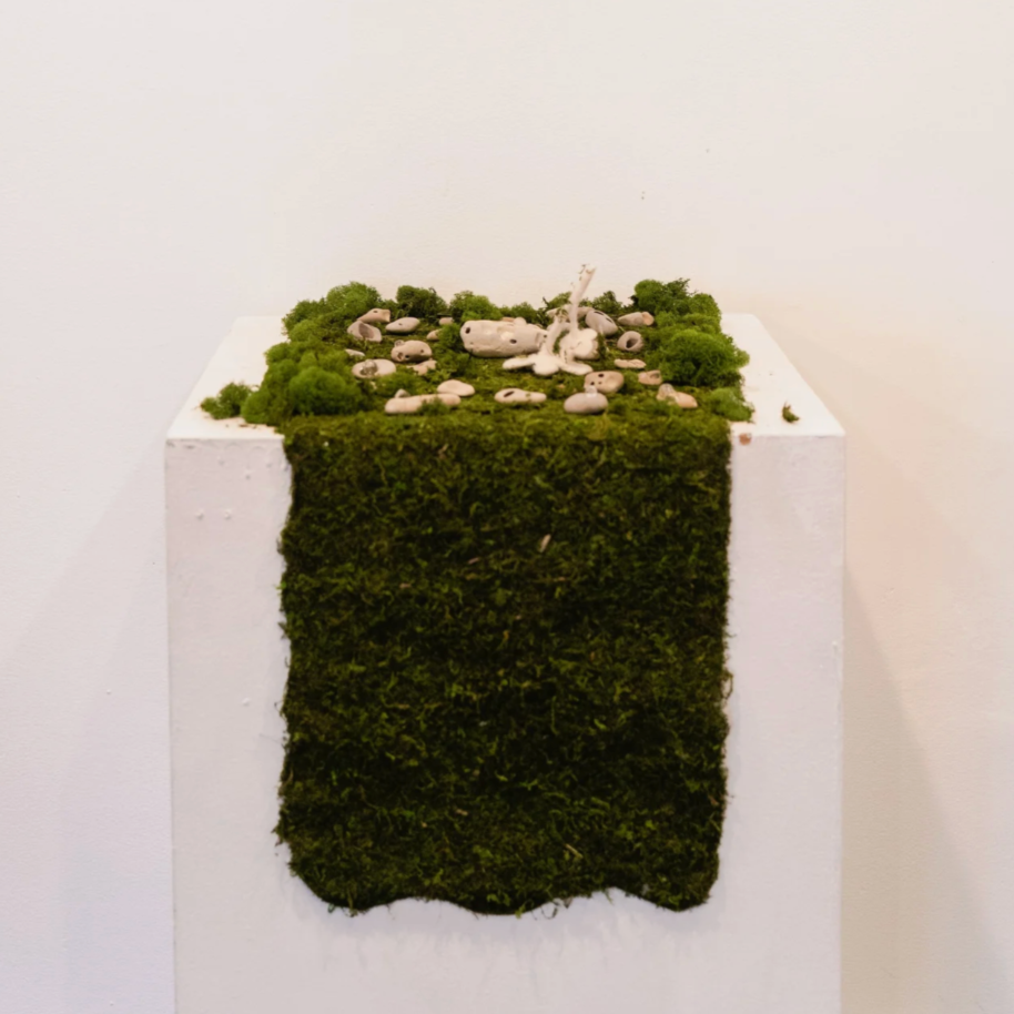 Elastic Arts Visual Gallery Curatorial Residency 2026-2027 Application Now Open! 