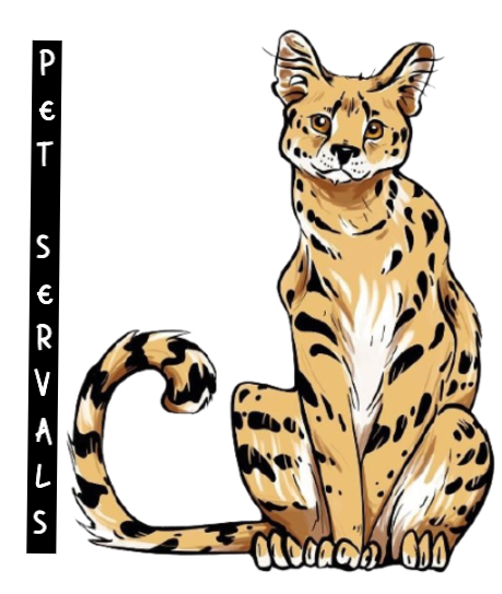 Serval Pet Breeders