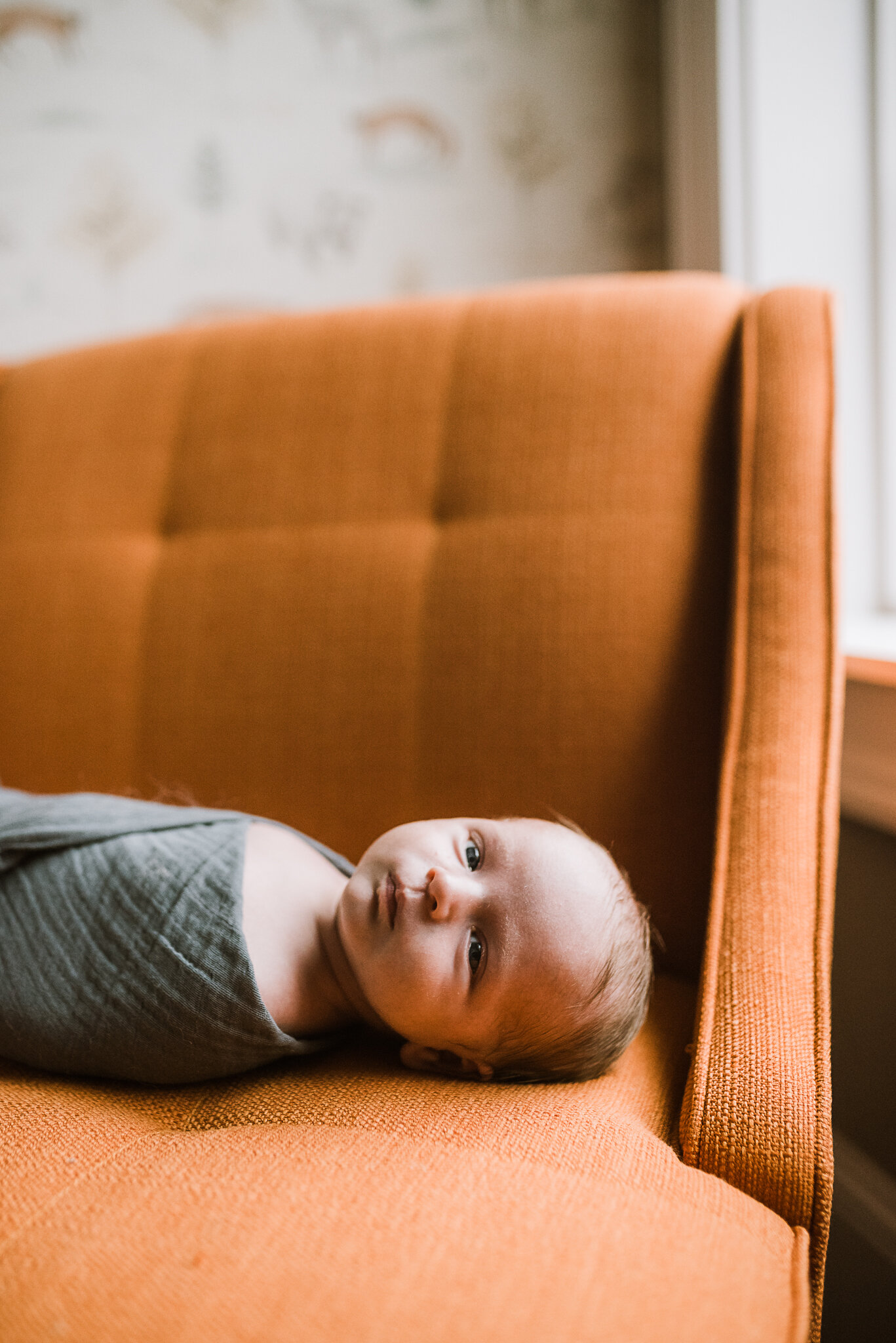 JHP_Seth newborn_for web-92.jpg