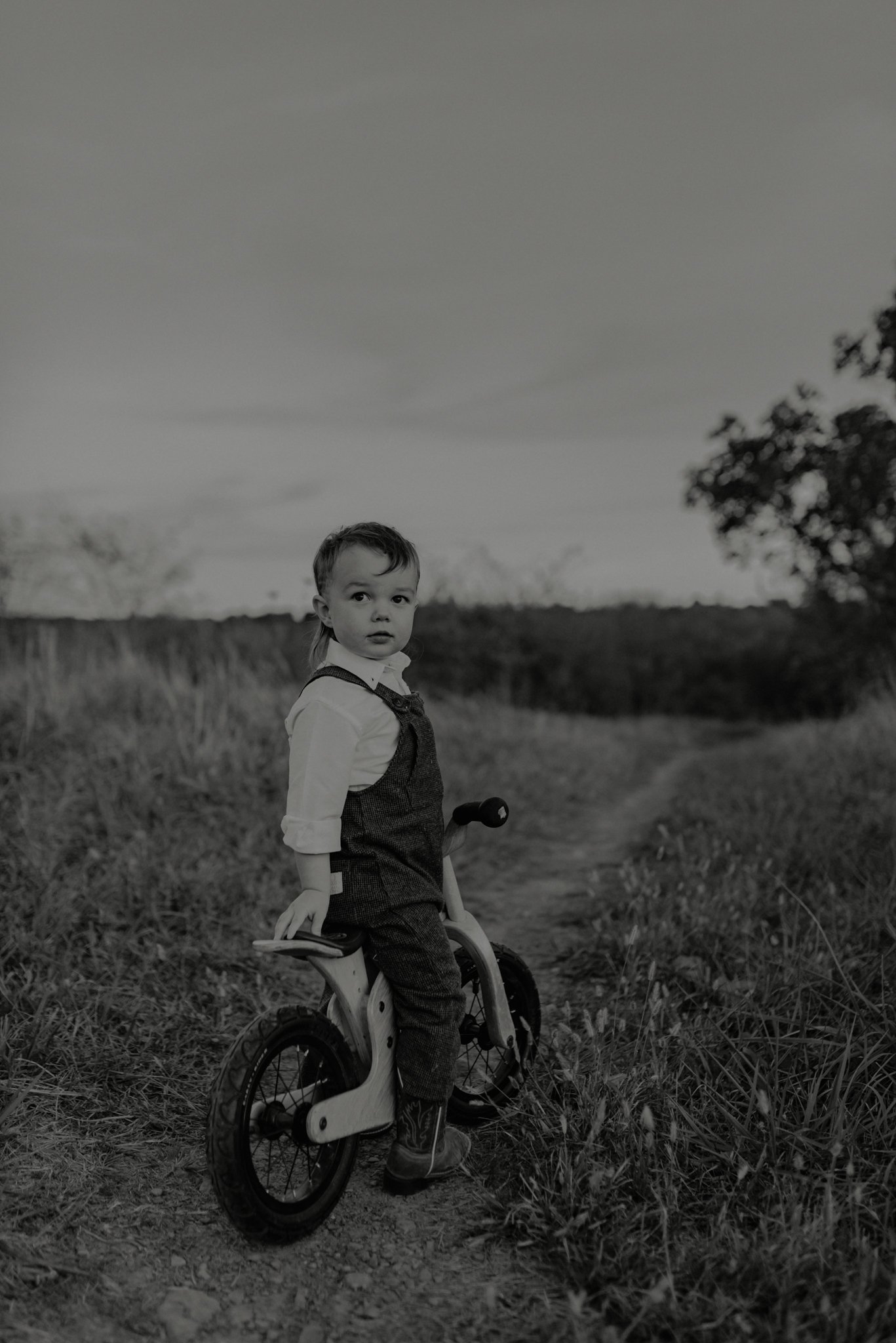 Fayetteville, AR child photographer