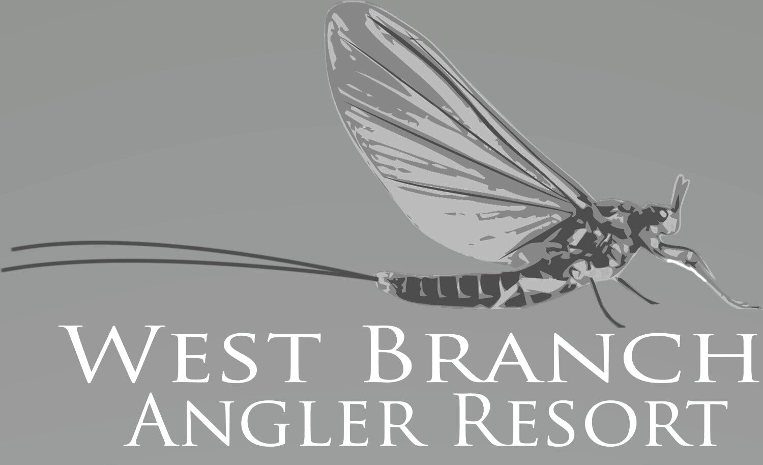 mayfly_logo_wba-new%2B10+%281%29.jpg