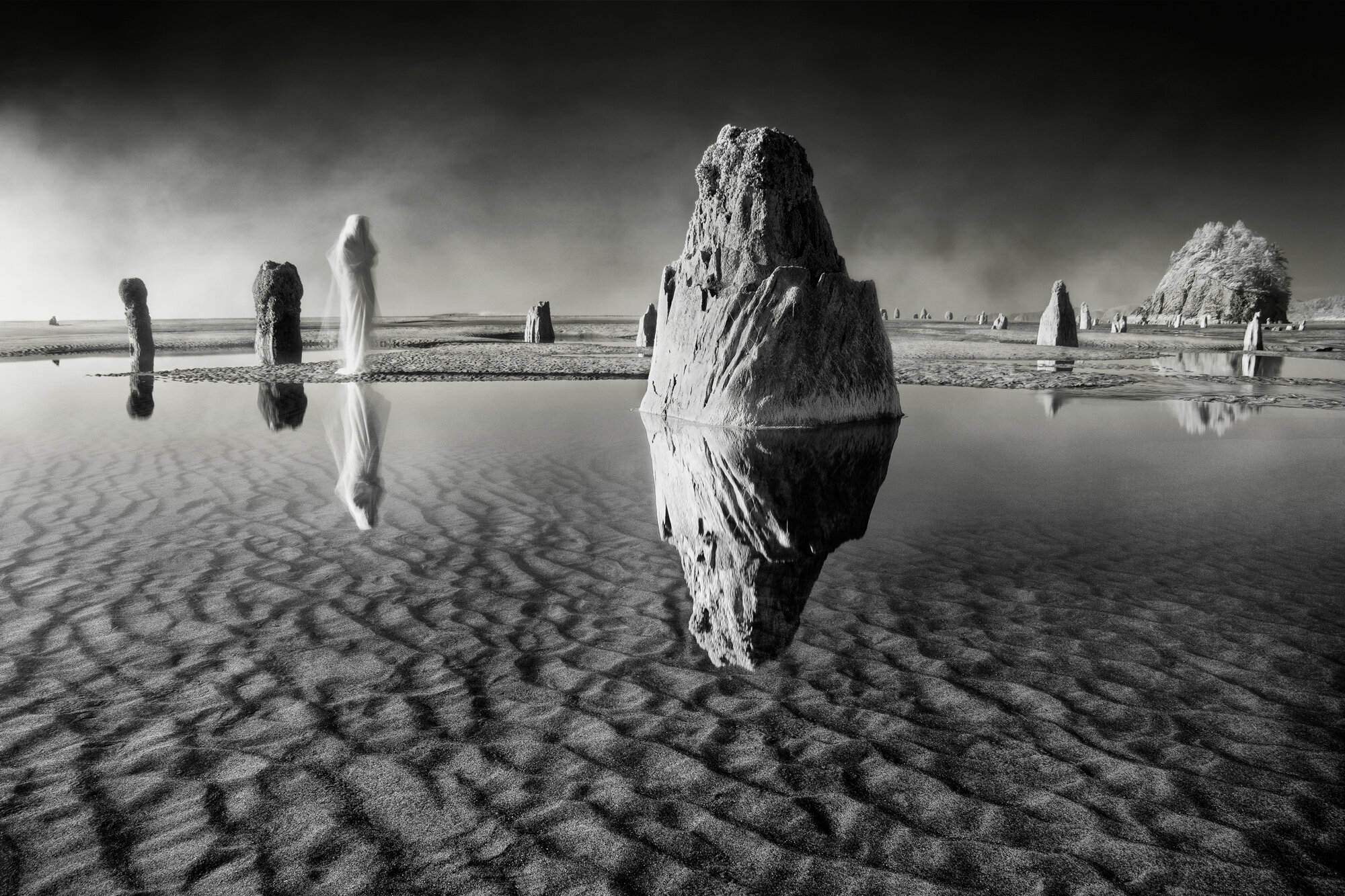 GhostForest_INU9297_print_2 copia.jpg