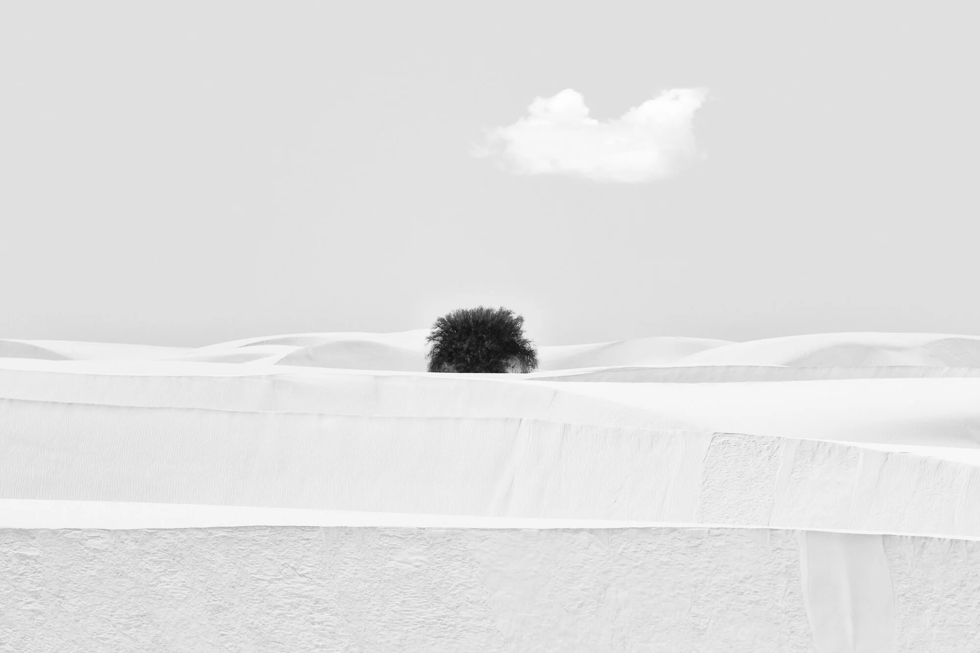 TheDesertOfSouls_PatriciaDinu_22.jpg