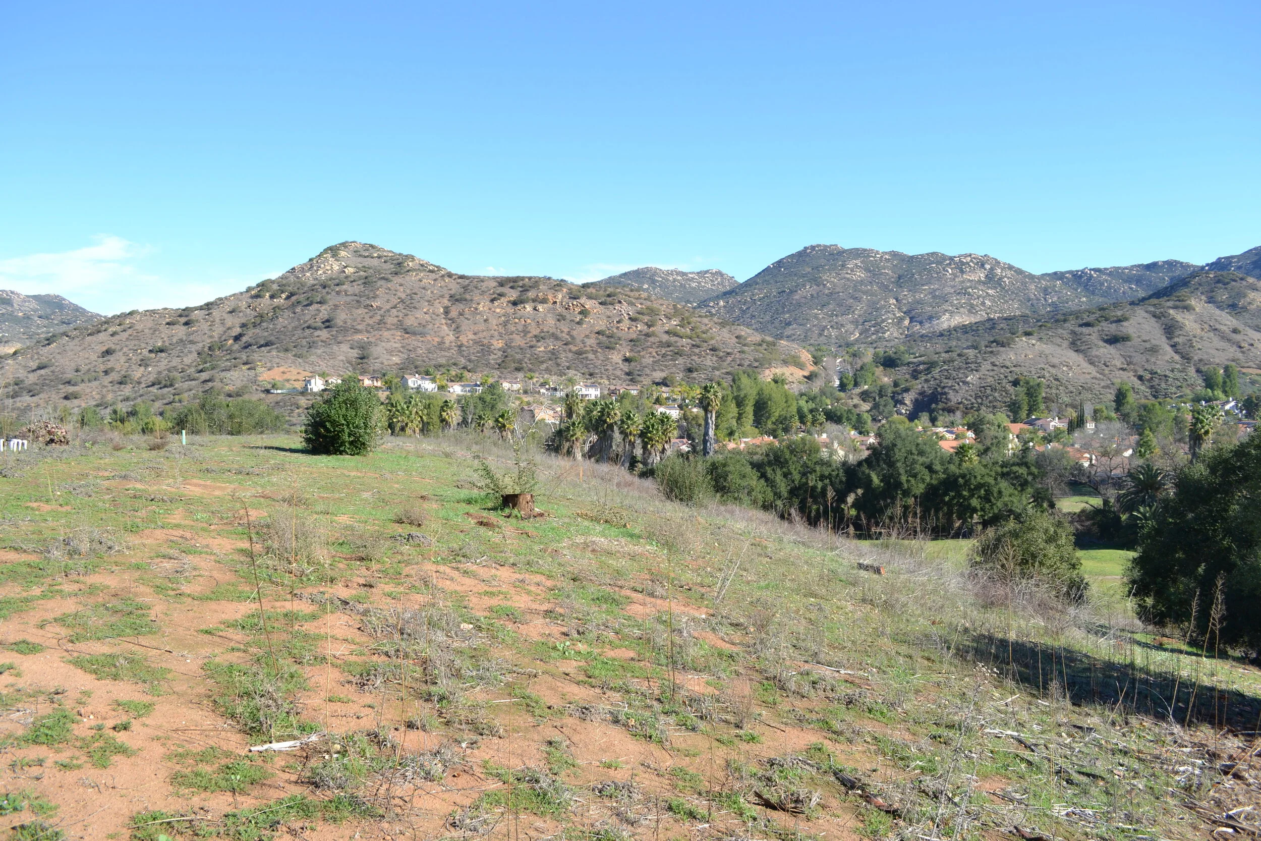 View.JPG