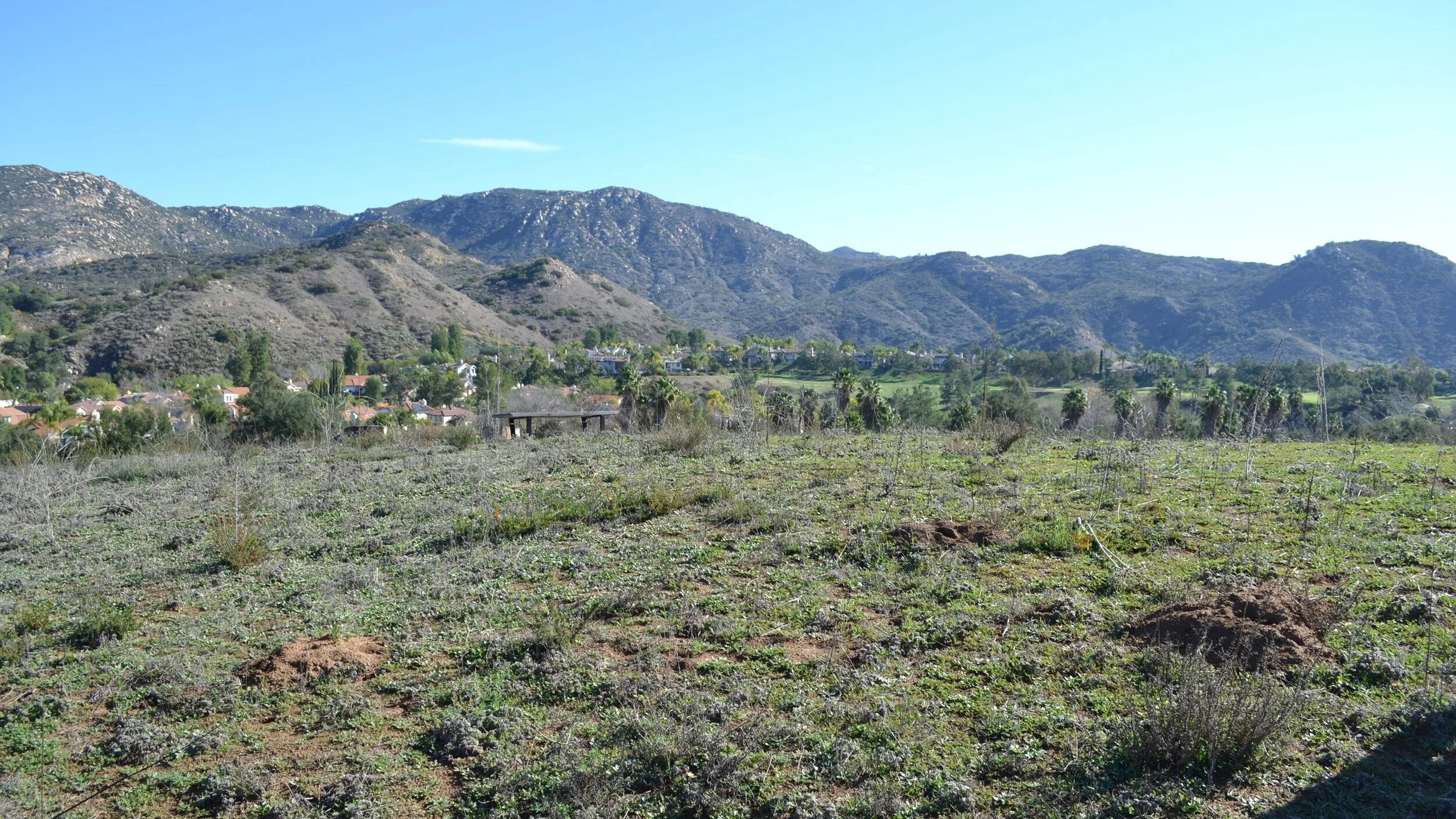 Escondido, CA Custom Home Build by Buildable (Cloverdale) Buildable