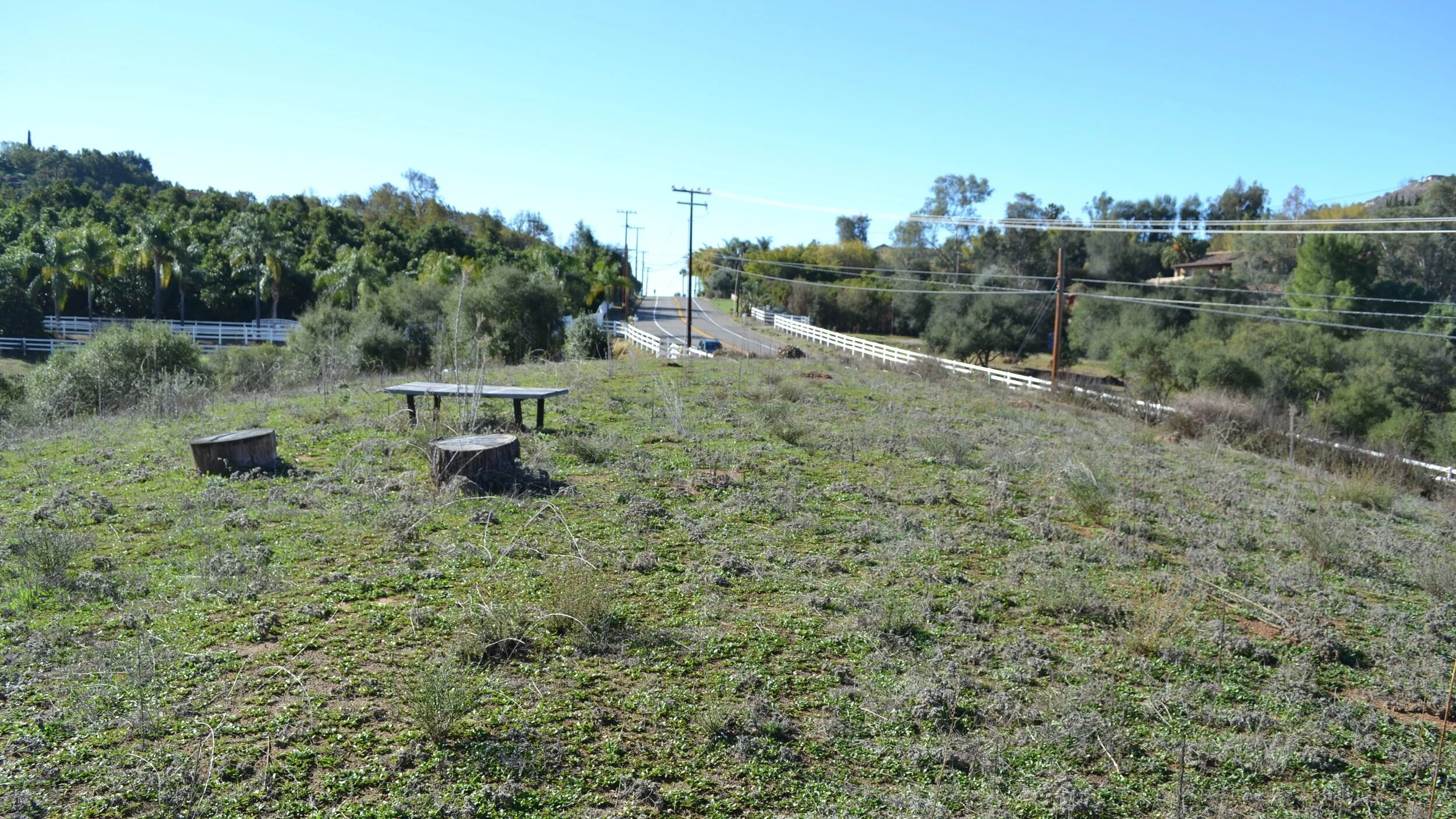 Escondido, CA Custom Home Build by Buildable (Cloverdale) Buildable