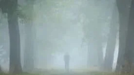 Grief