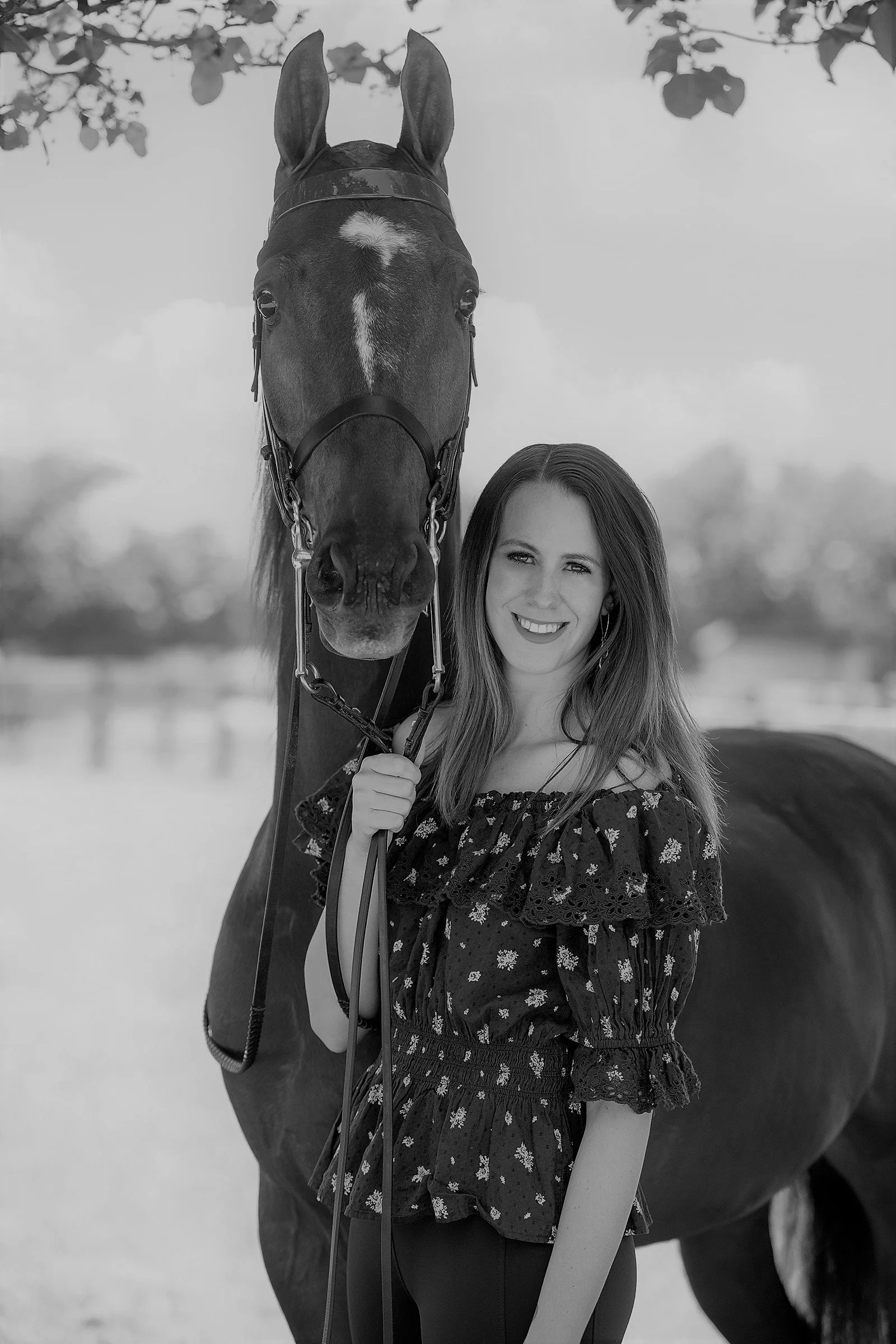 our-board-big-d-charity-horse-show