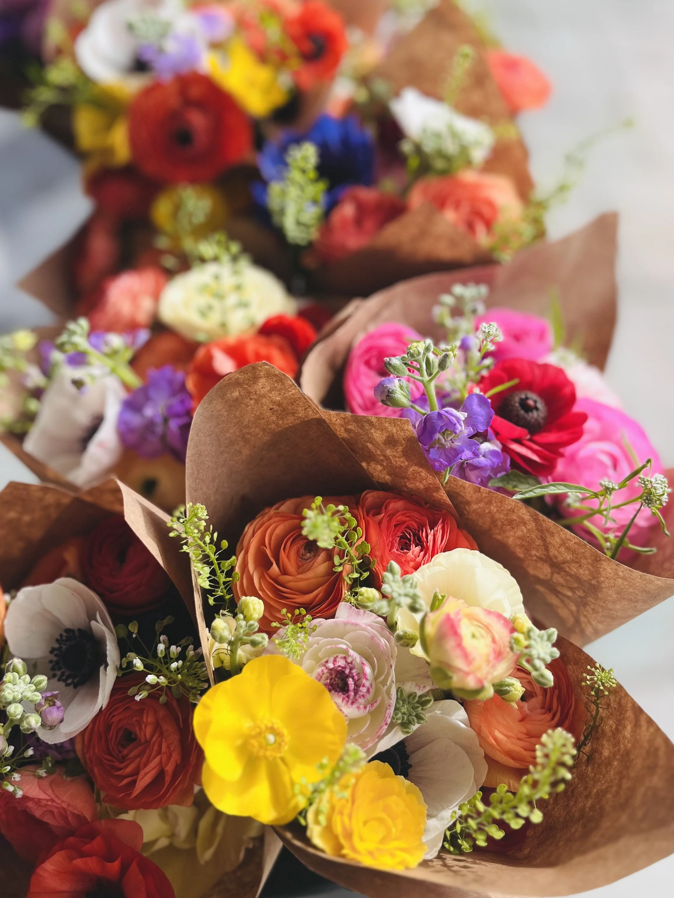 SEASONAL BOUQUET: SPRING INTO COLOR