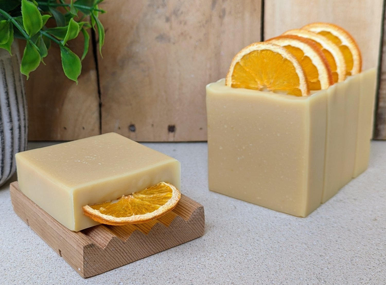 Sunny Citrus Goat Milk Soap — SEEDs for Autism