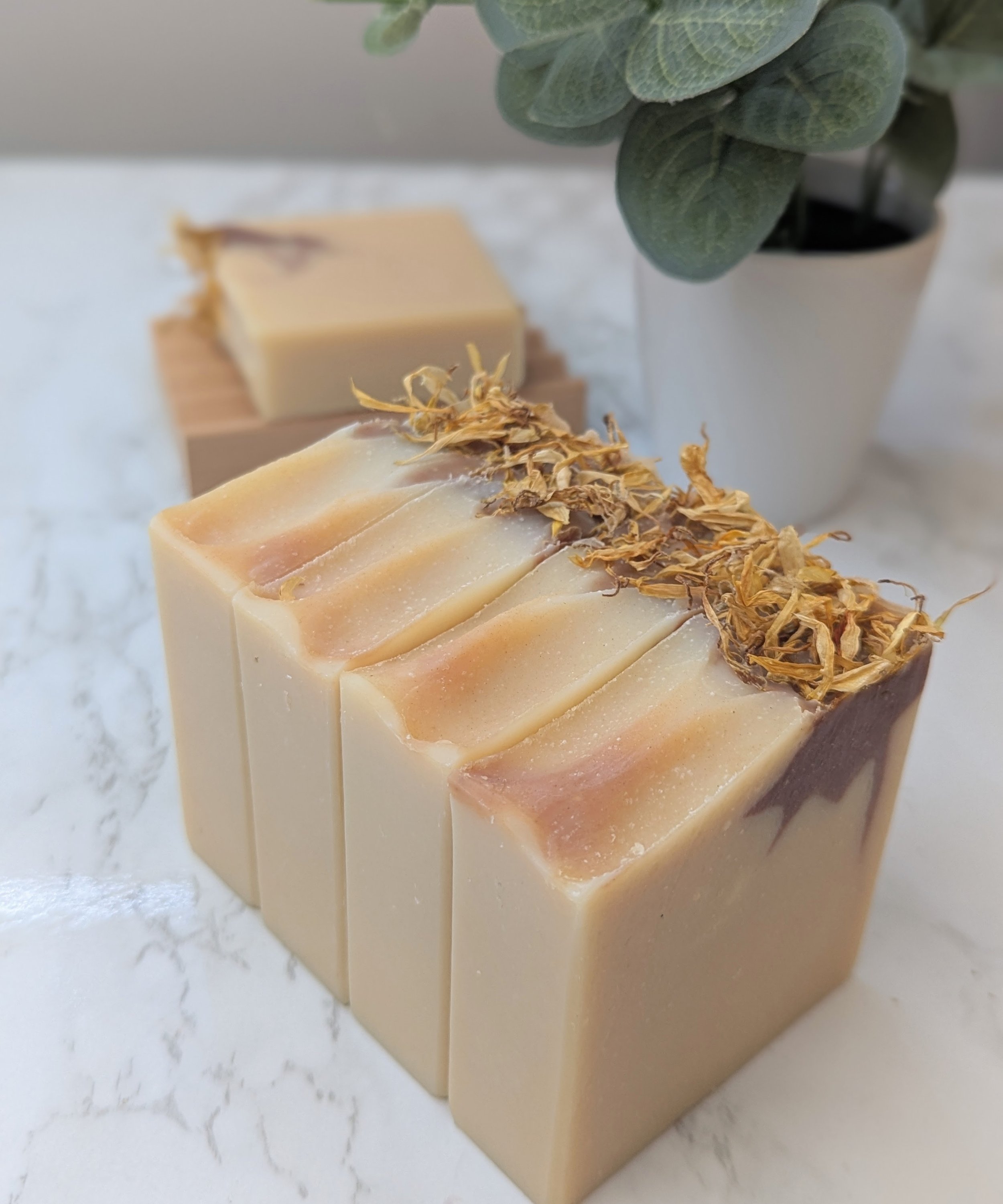 Coconut Mango Goat Milk Soap