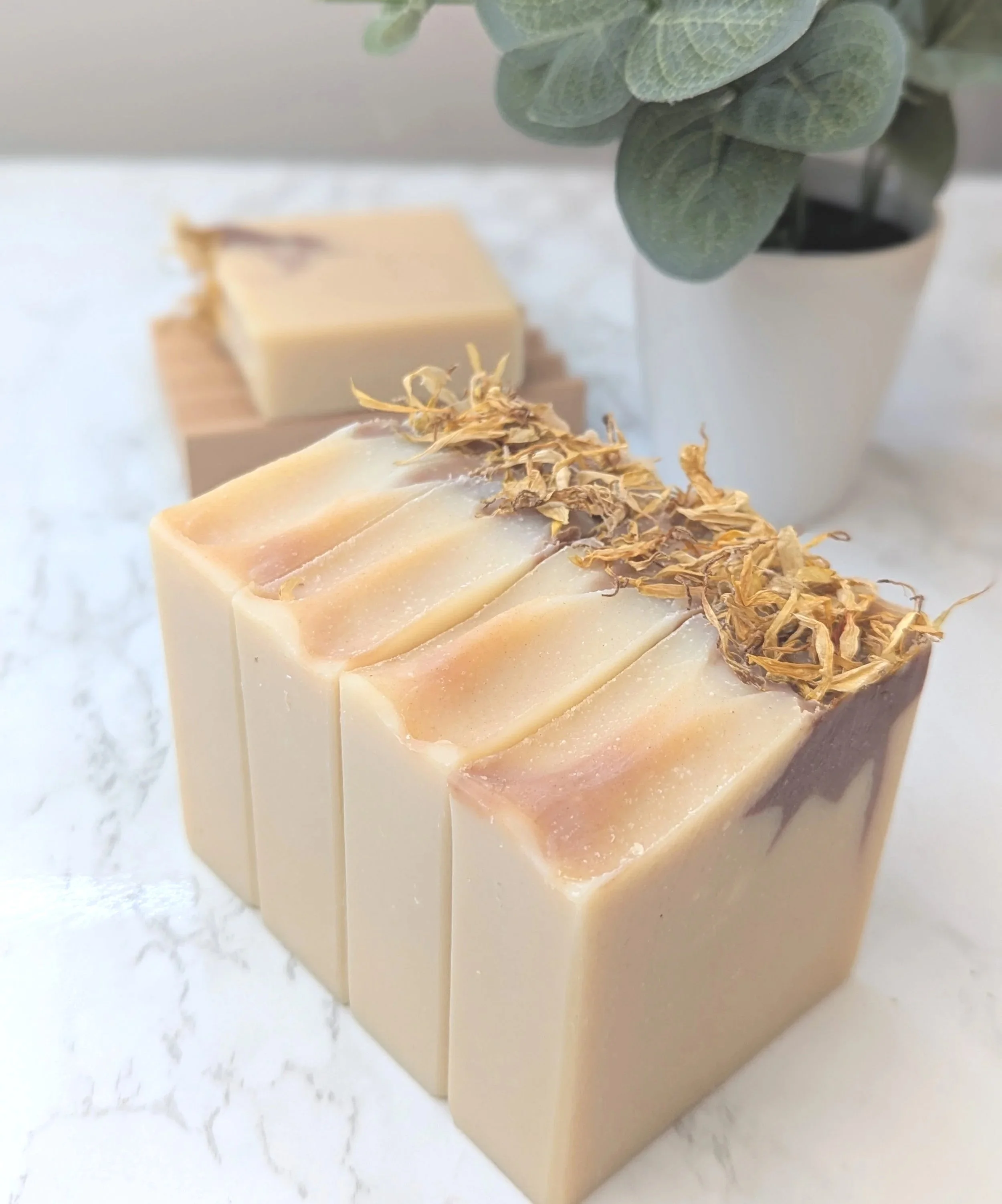 Coconut Mango Goat Milk Soap