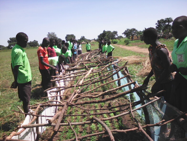 Students building shade for tree nursery