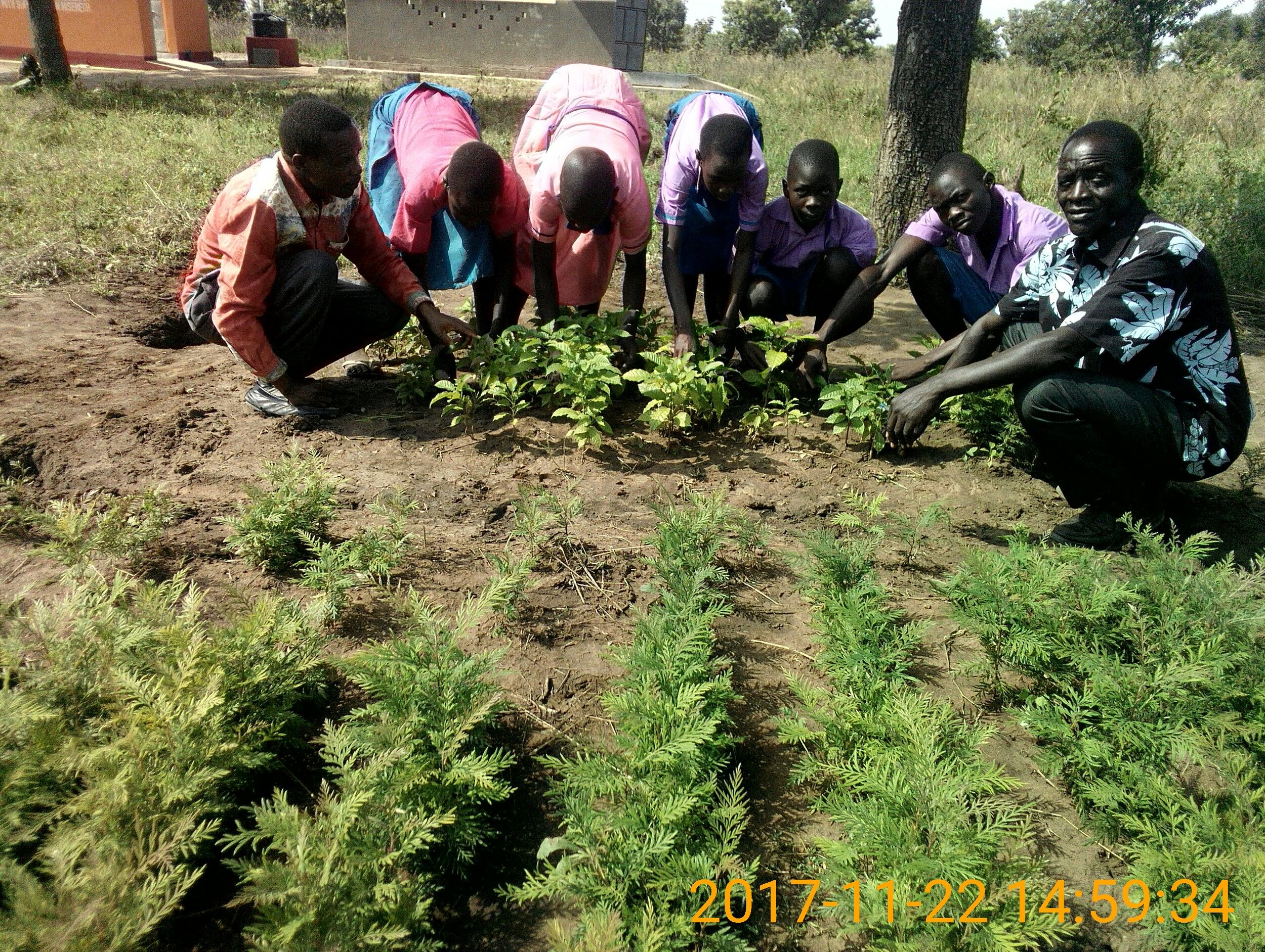 Students raising seedlings