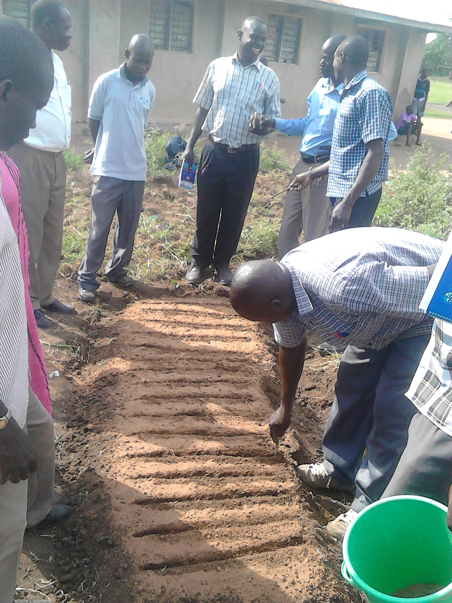 Teaching students placement of seedlings