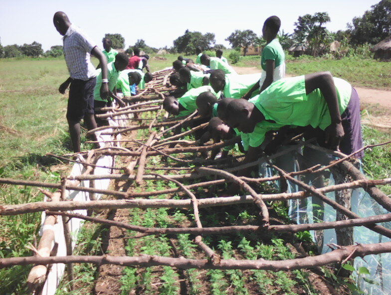 Teaching students to build a nursery