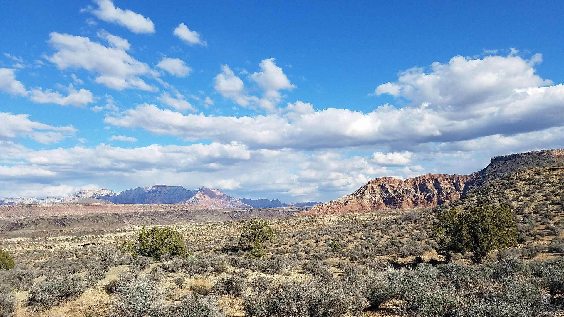 Munis &amp; Nemerever: Rural Residency, Rural Resentment, and Attitudes Towards Public Land Management