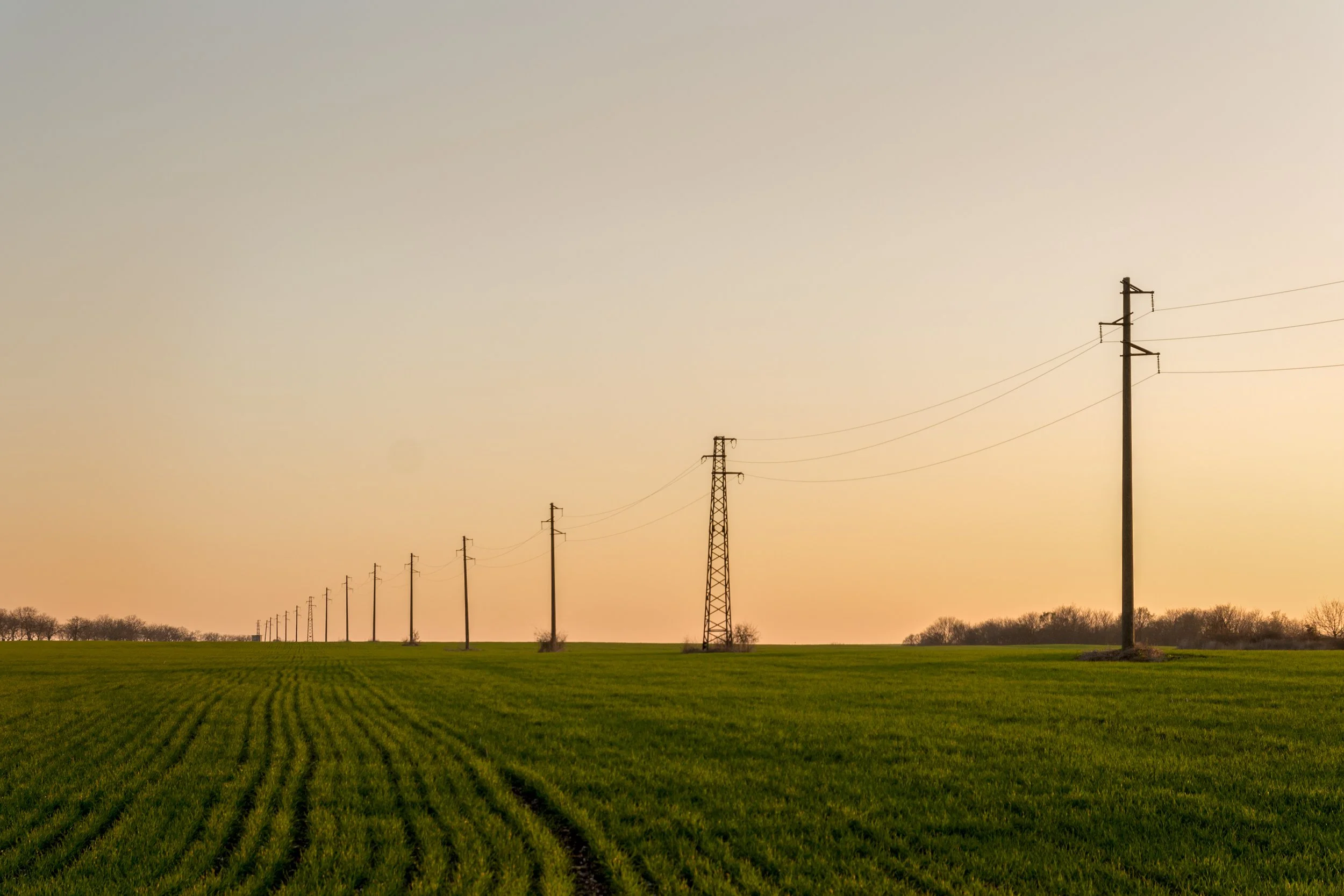 Smith: Rural Electric Cooperatives