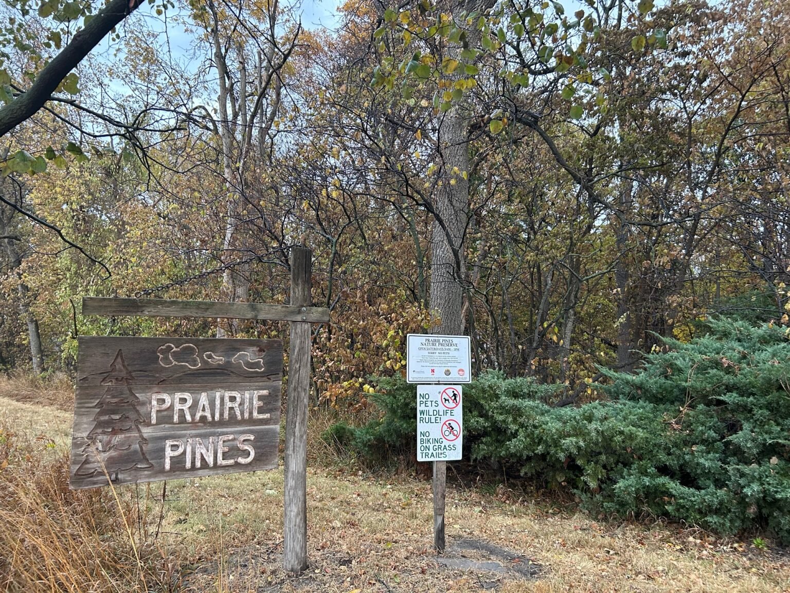 A picture of the wooden Prairie Pines entrance sign before autumnal trees anda  No Pets Wildlife Rule! and No Biking on Grass Trails posted sign.