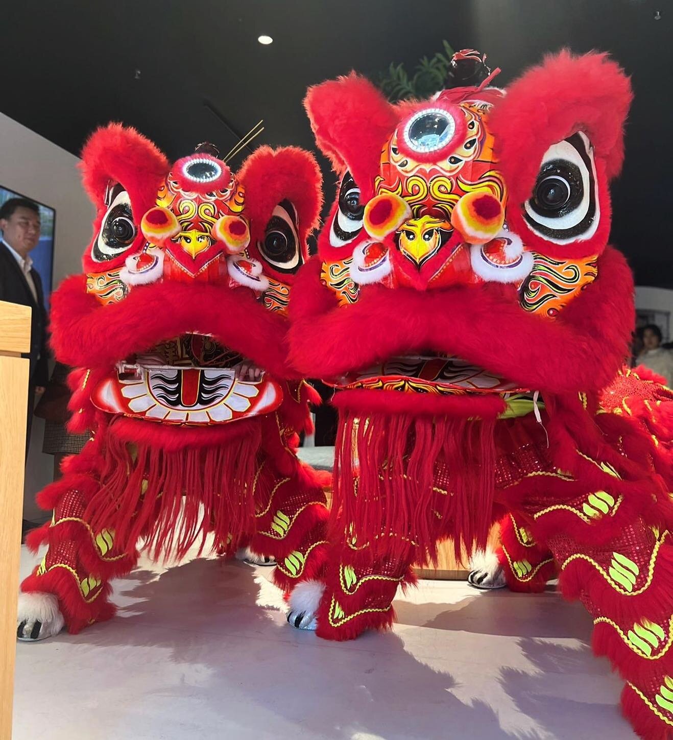 ‼️
.
.
.
#melbourne #kuanyee #liondance #quannghiaduong #australia #醒獅 #liondancesports #mualan