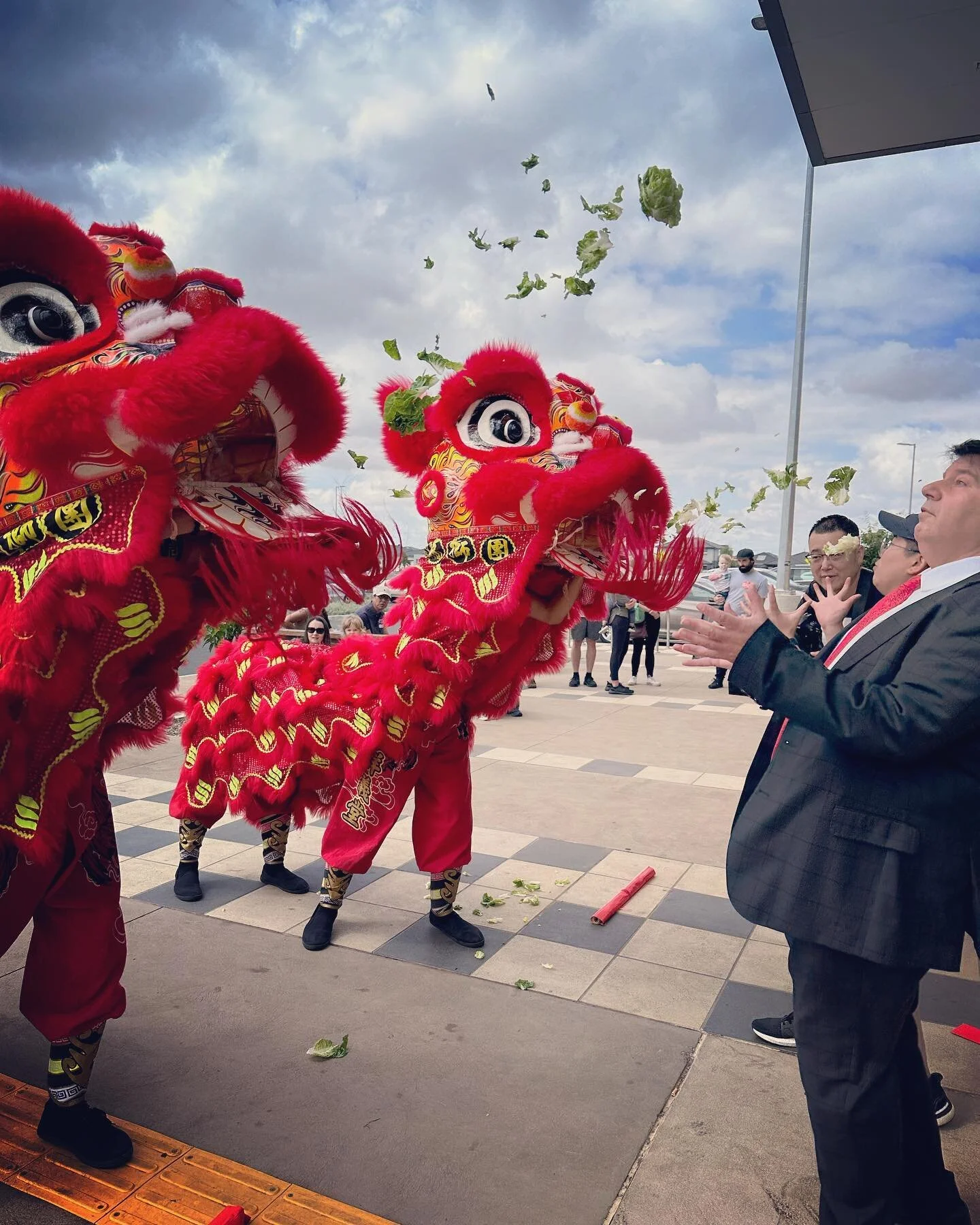 3, 2, 1&hellip; 🥬!
.
.
.
#melbourne #kuanyee #liondance #quannghiaduong #australia #醒獅 #liondancesports #mualan