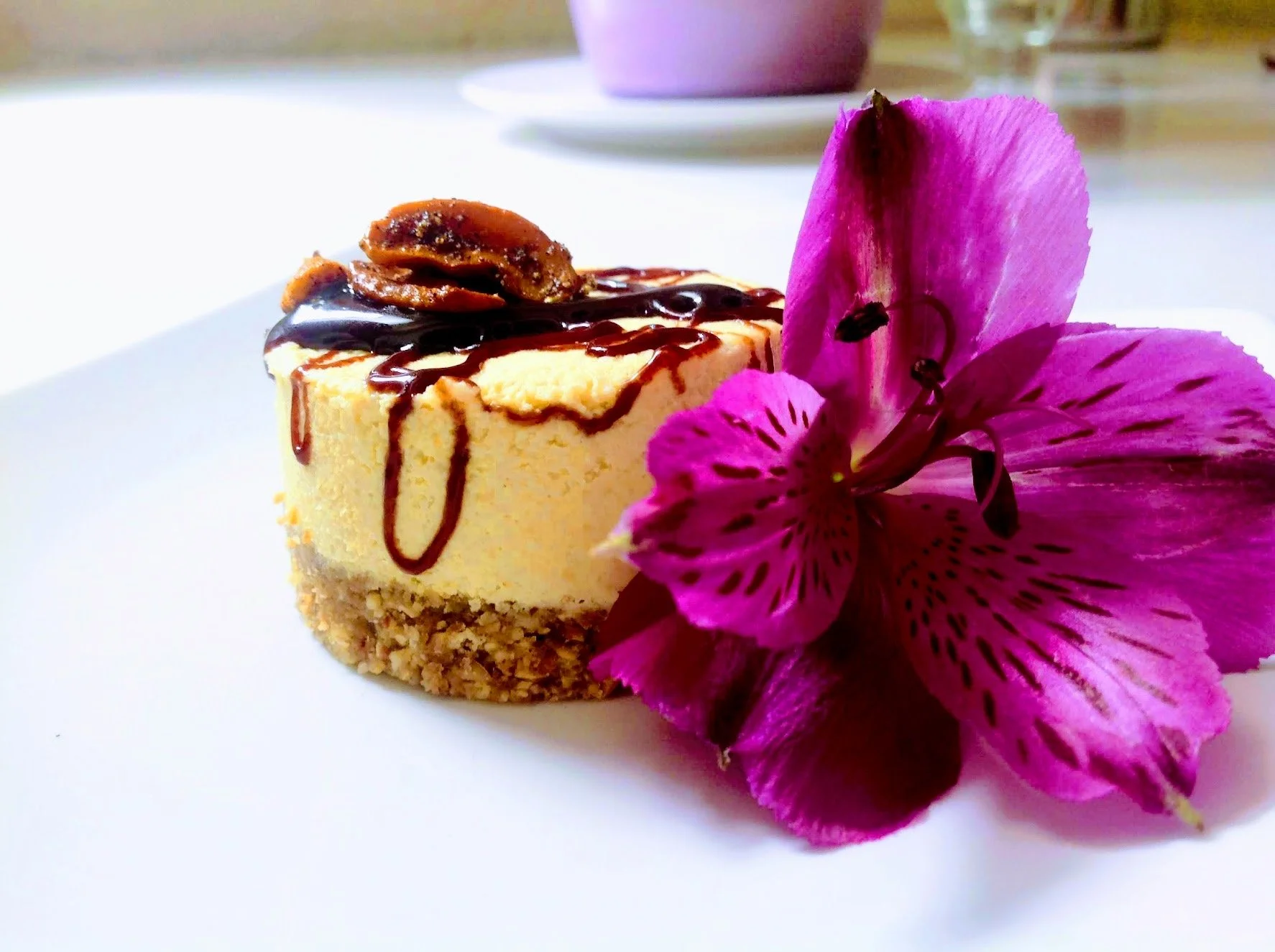 A slice of Raw cheesecake topped with raw cacao drizzle and caramel, served with a pink flower on a white plate.
