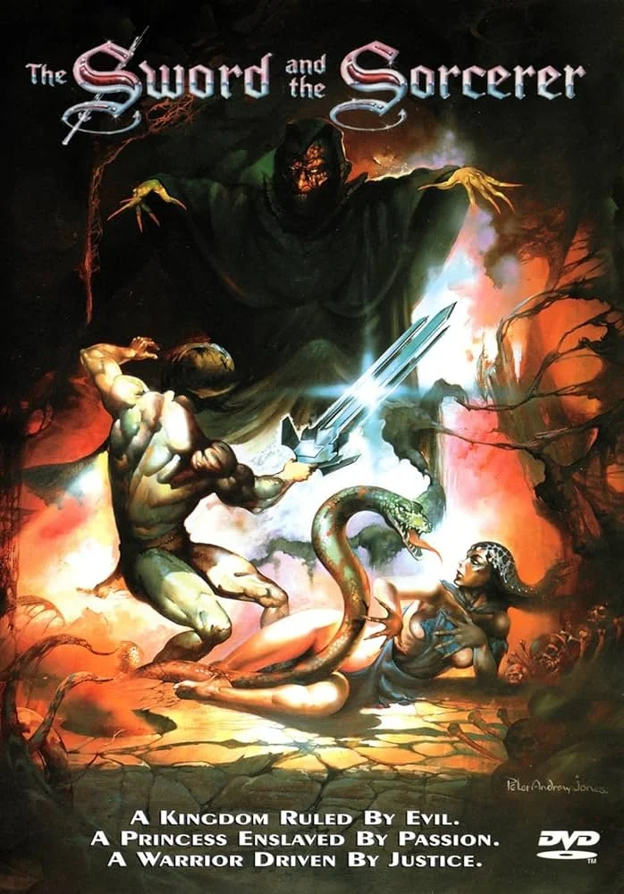 SWORD AND THE SORCERER (DVD)