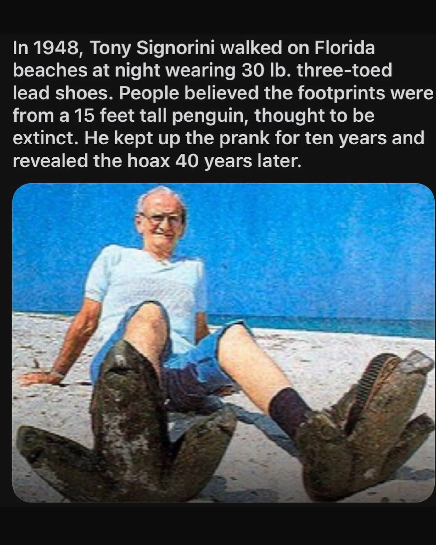 🃏Gulf Coast Phantom Penguin!

⁣
.⁣
.⁣
.⁣
.⁣
.⁣
#Humor ⚛︎ #Lmao ⚛︎ #Memesdaily ⚛︎
