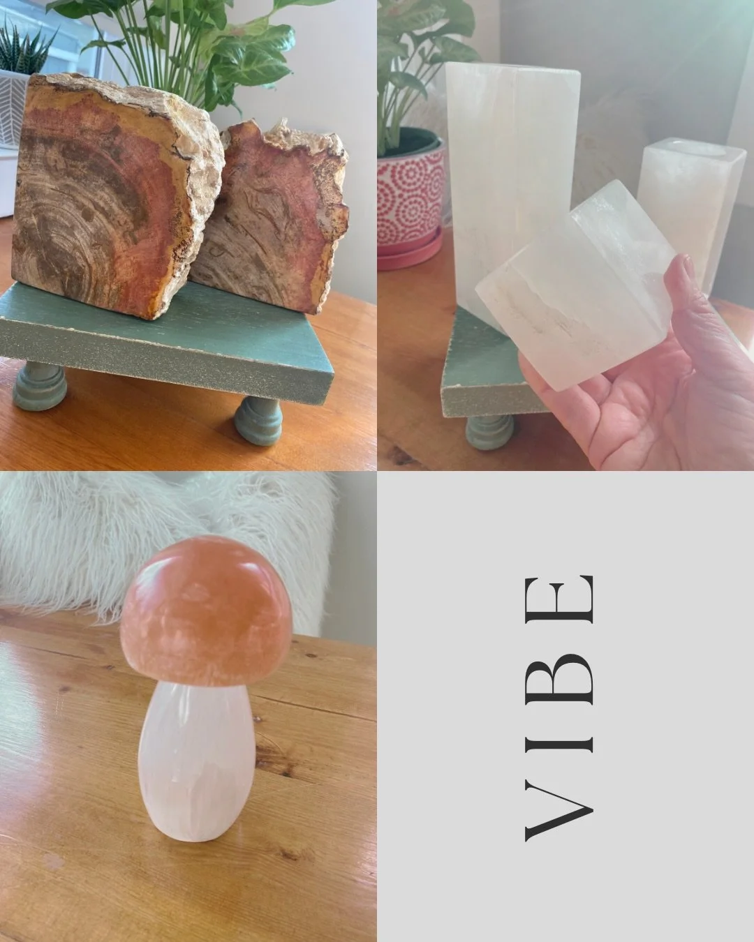 Check out new items on the website! Petrified Wood Bookends, White Onyx Candleholders and Adorable Mushroom Lamp!  More to come! 😍🫶🏼

#petrifedwood #onyx #selenitelamp #crystalhomedecor #mindfulandrooted