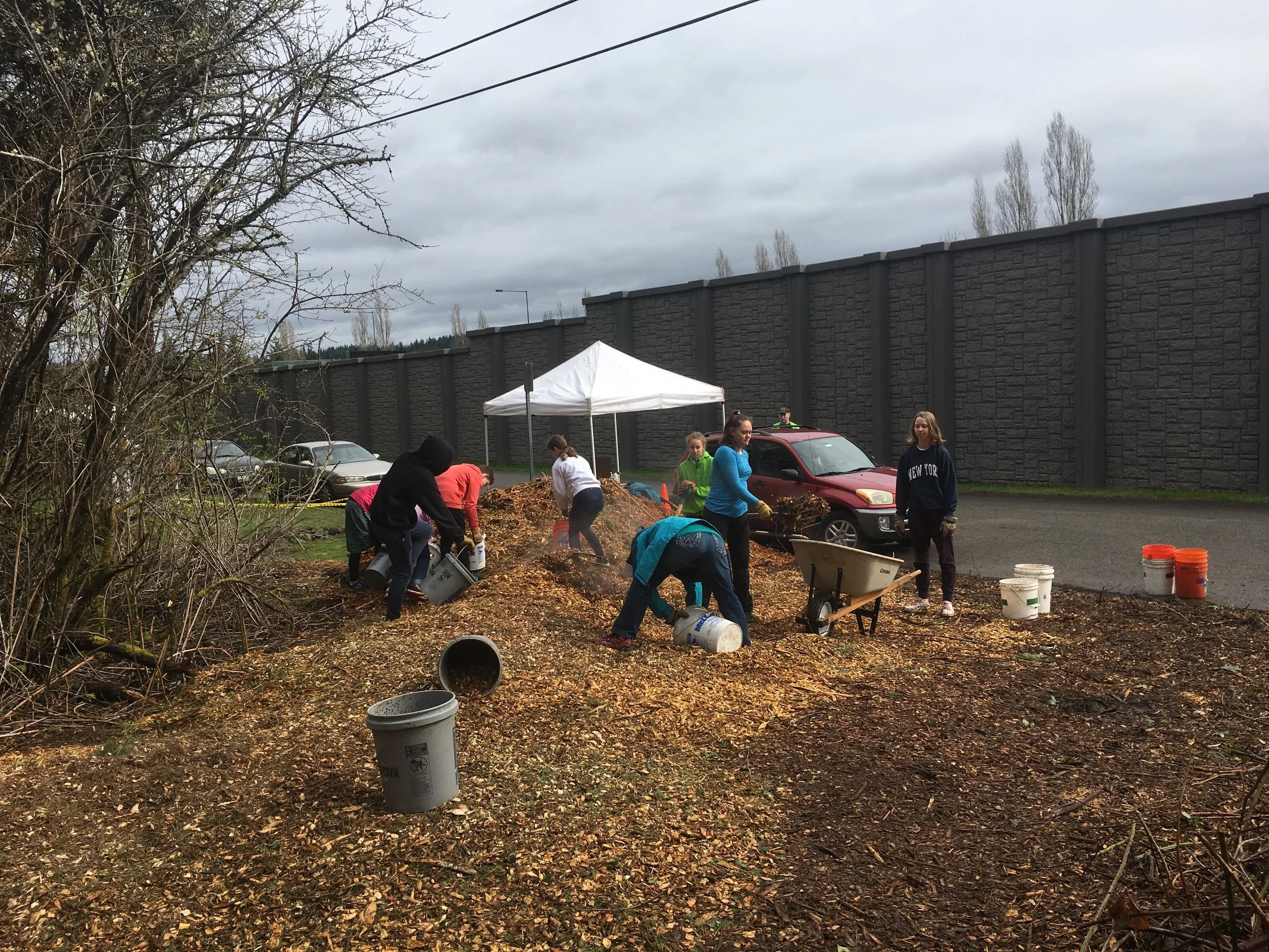 Soundview Newsletter: New Wave for October 25