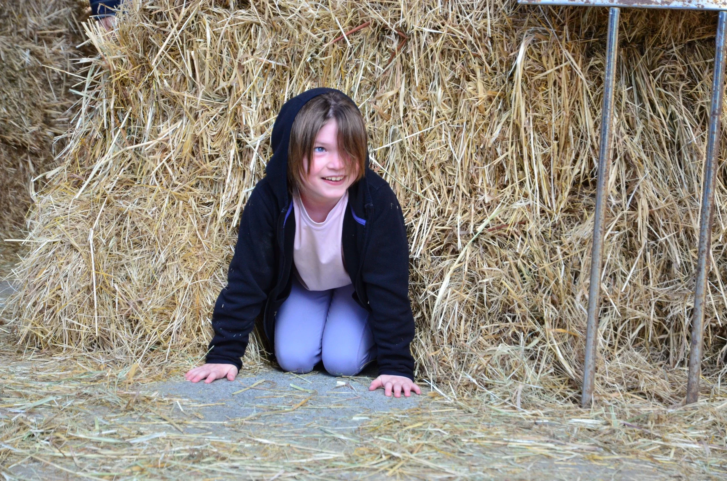 DSC_8784.JPG