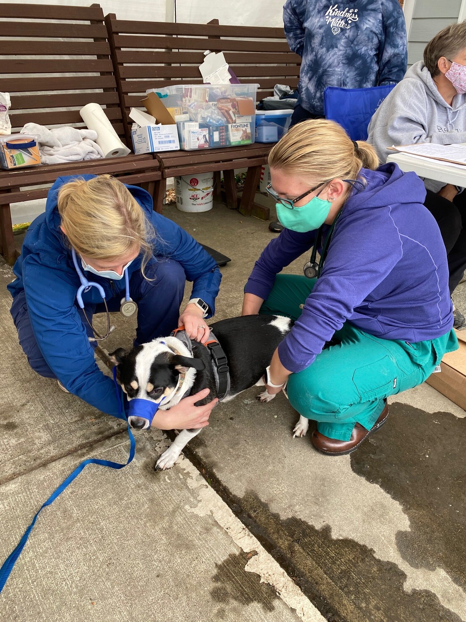 Dr Knutzen and Jill examining Monkey