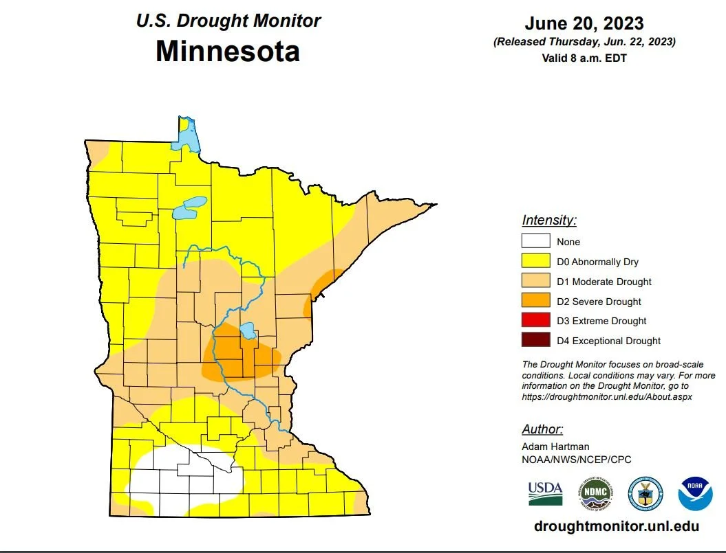 drought.JPG