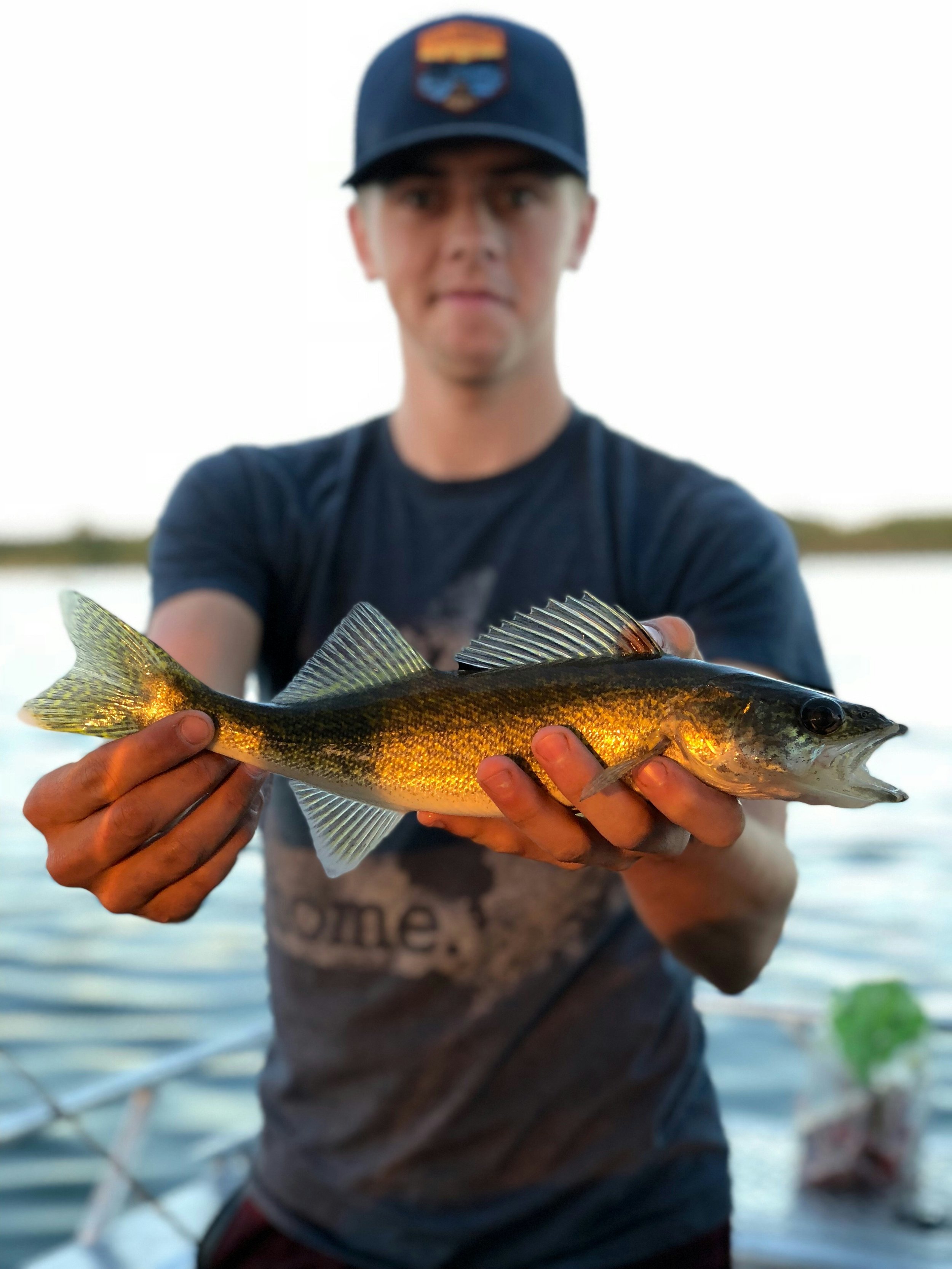 Unlimited Walleye? Idaho’s New Fishing Policy Has Midwest Anglers Buzzing