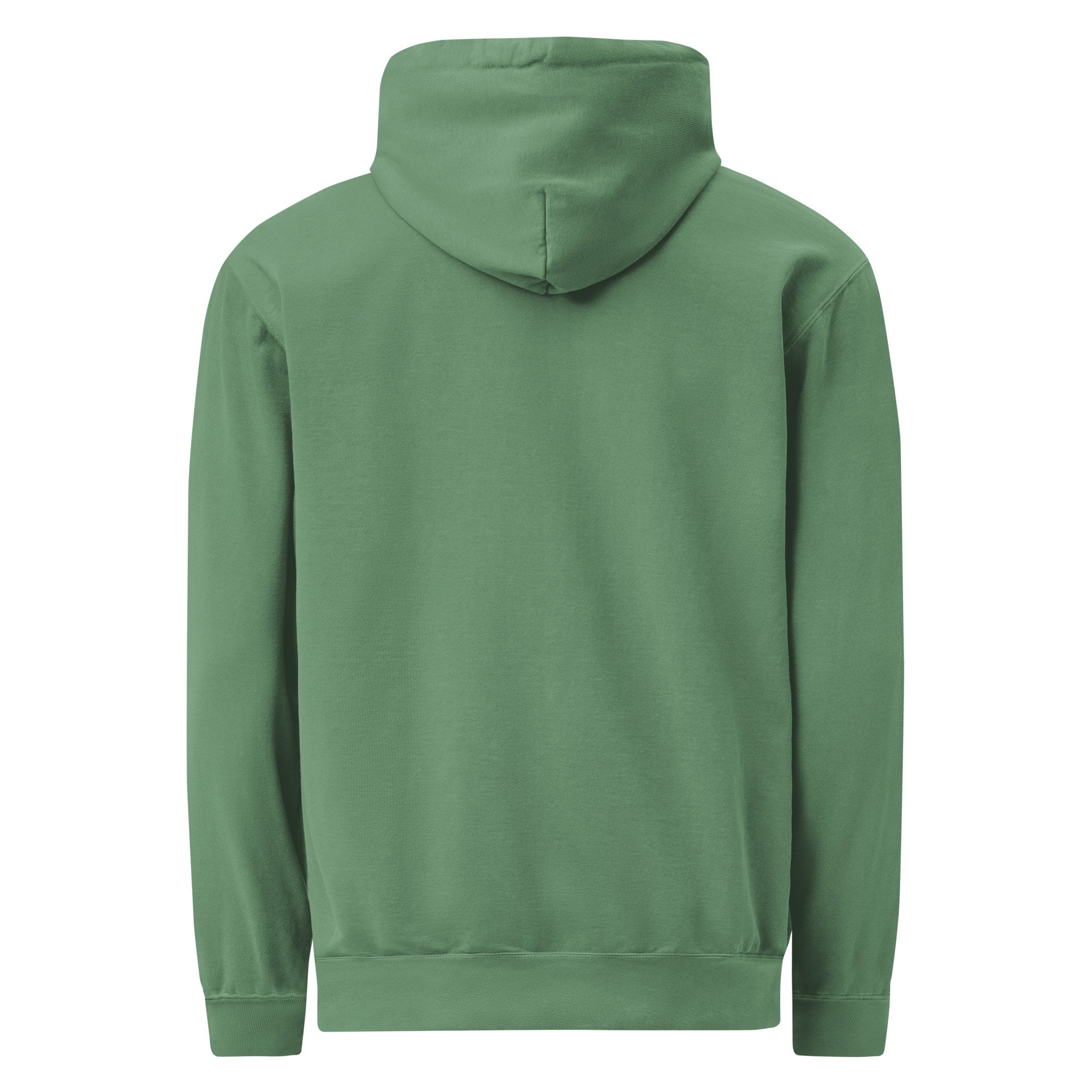 unisex-garment-dyed-hooded-sweatshirt-i-comfort-colors-1567-light-green-back-694b05faeeec9.jpg