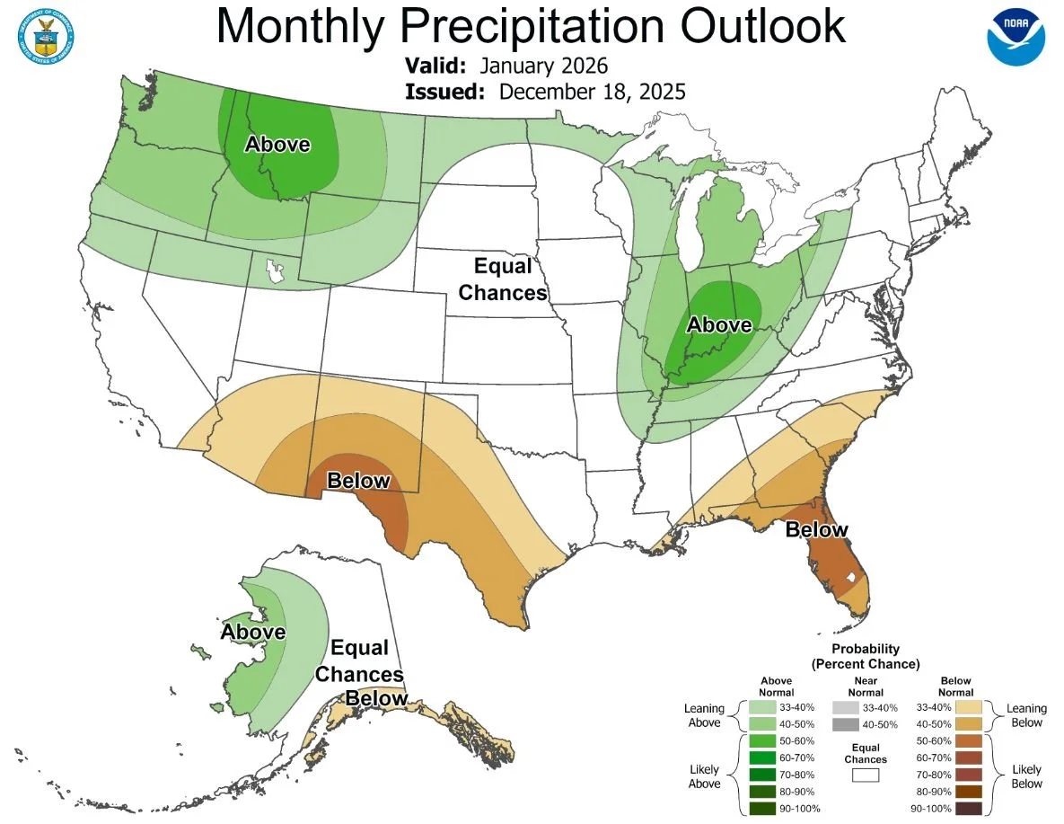 January Precipitation Outlook.JPG